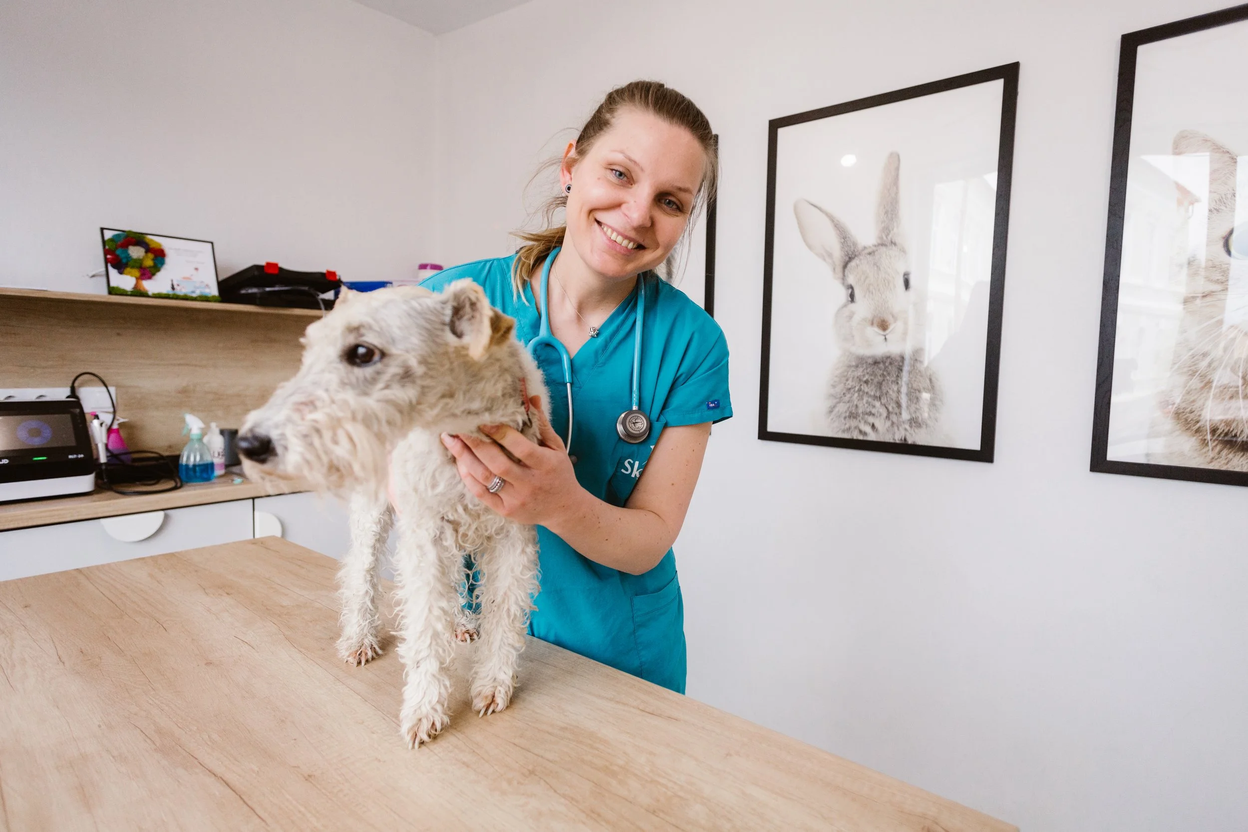 De ce vizitele regulate la medicul veterinar pot prelungi viața animăluțului tău (și ce riști dacă le amâni)