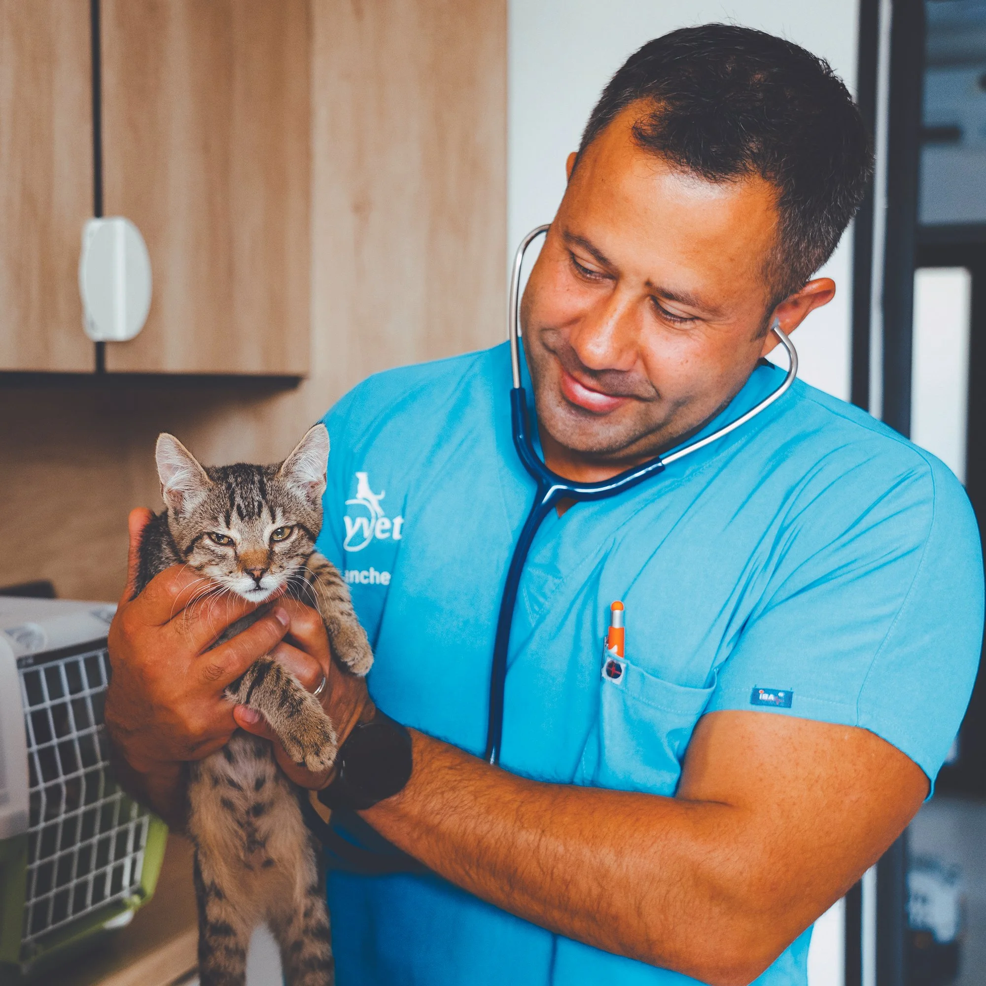 Cum recunoști și tratezi piodermitele la animalele de companie