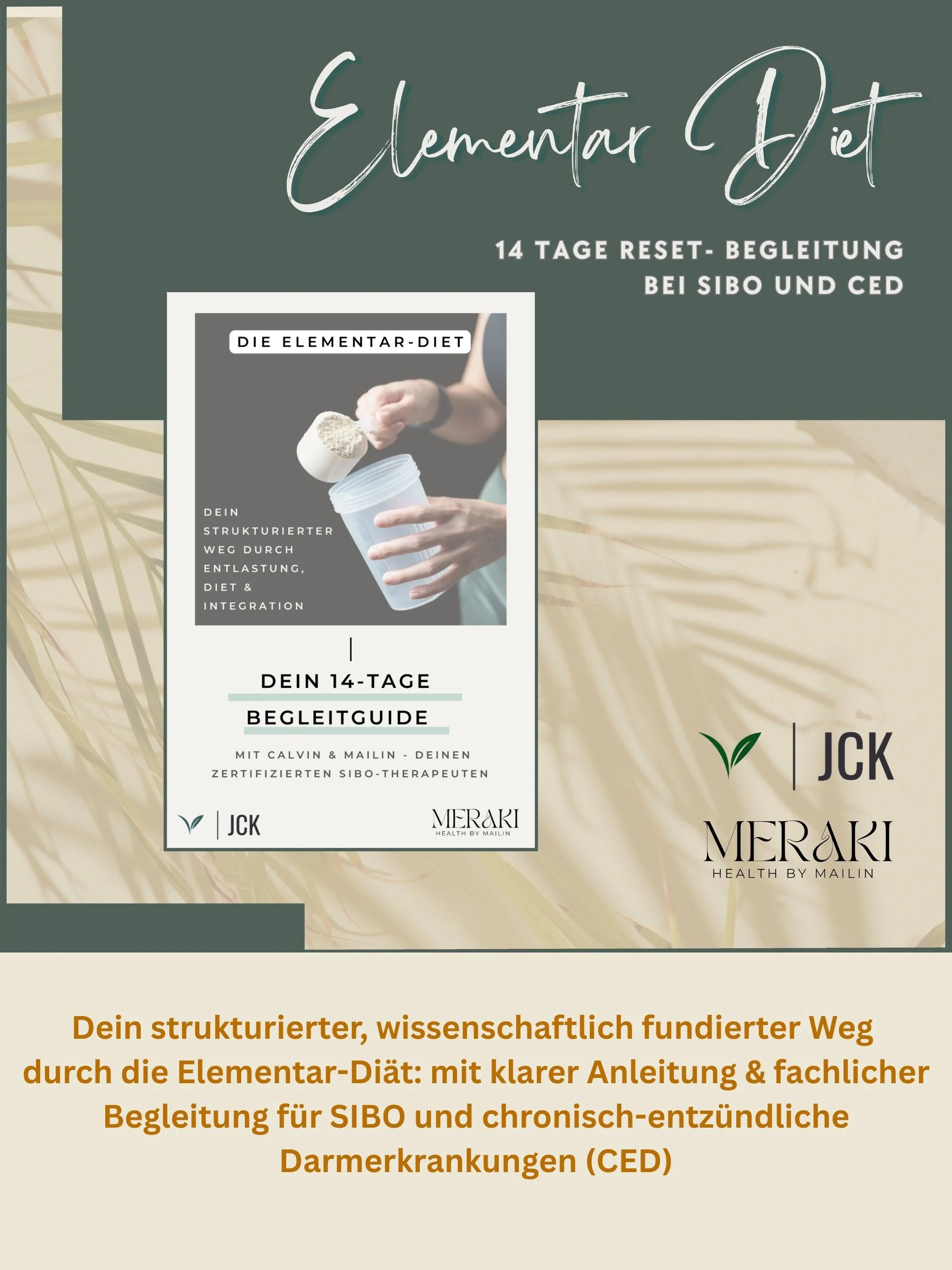 Begleitete Elementar-Diät mit Calvin x Mailin