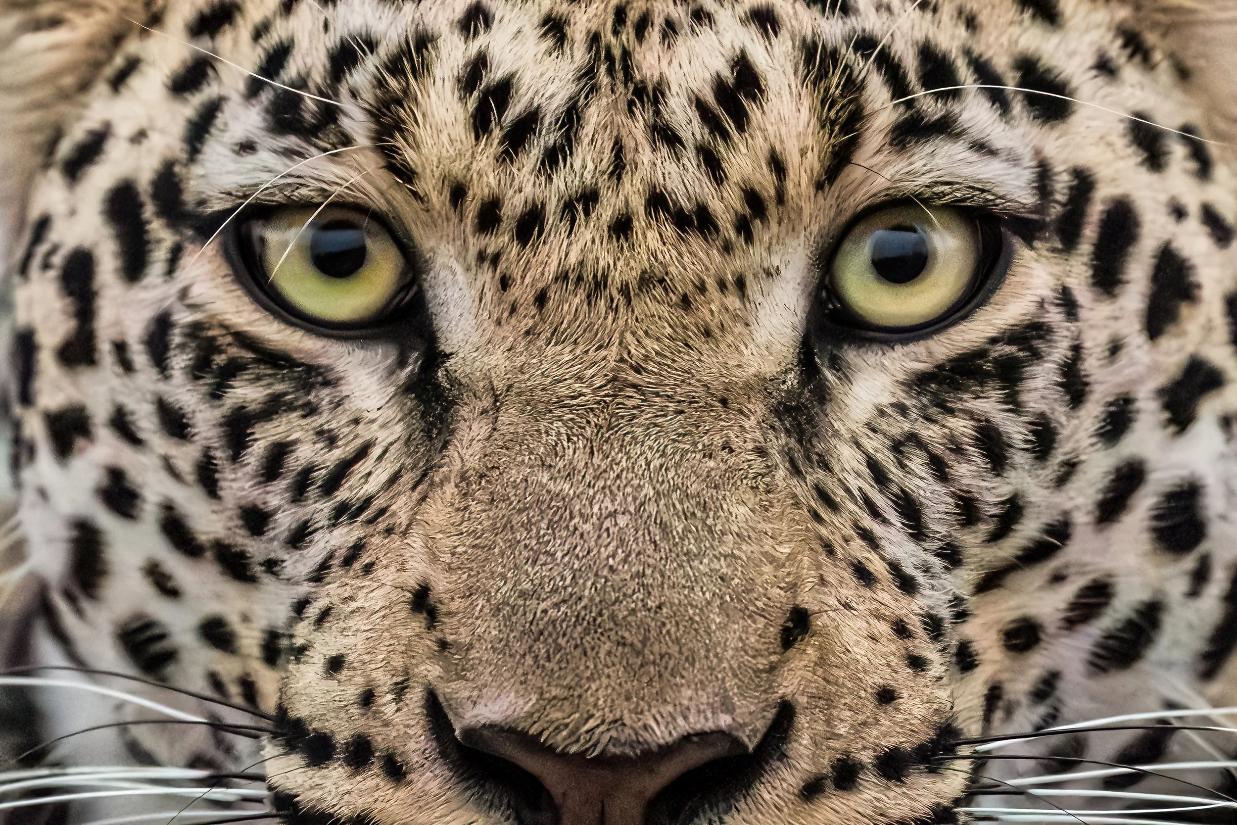 Keepers Done_0322.JPG