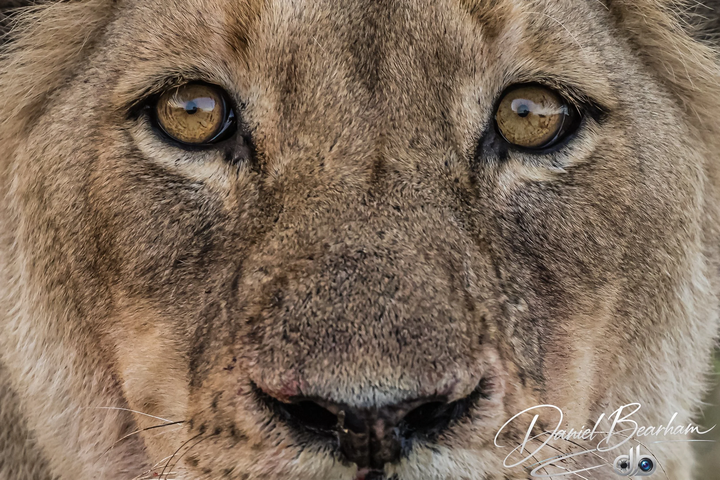 Website upload (12 of 87).jpg