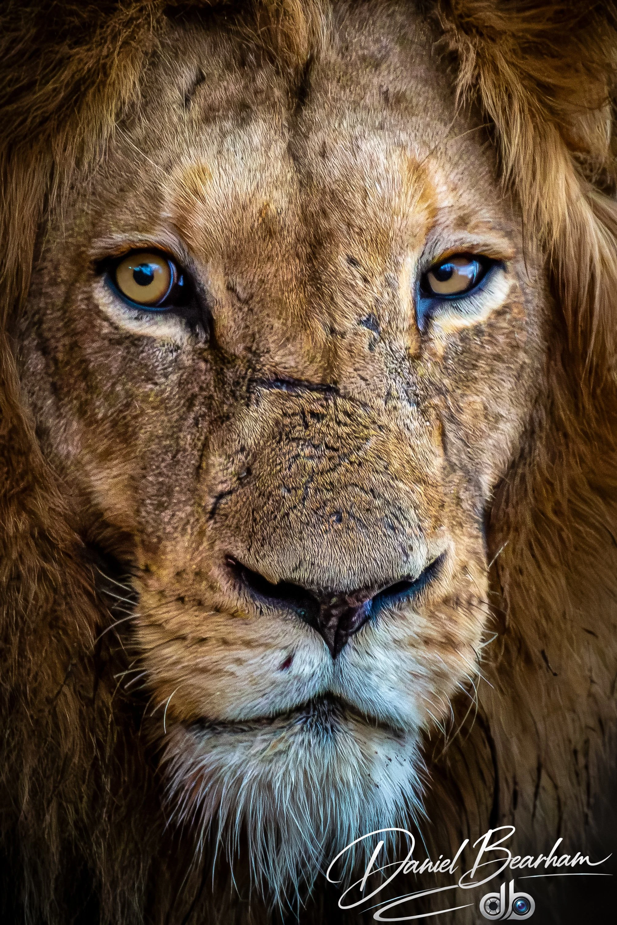 Website upload (5 of 87).jpg