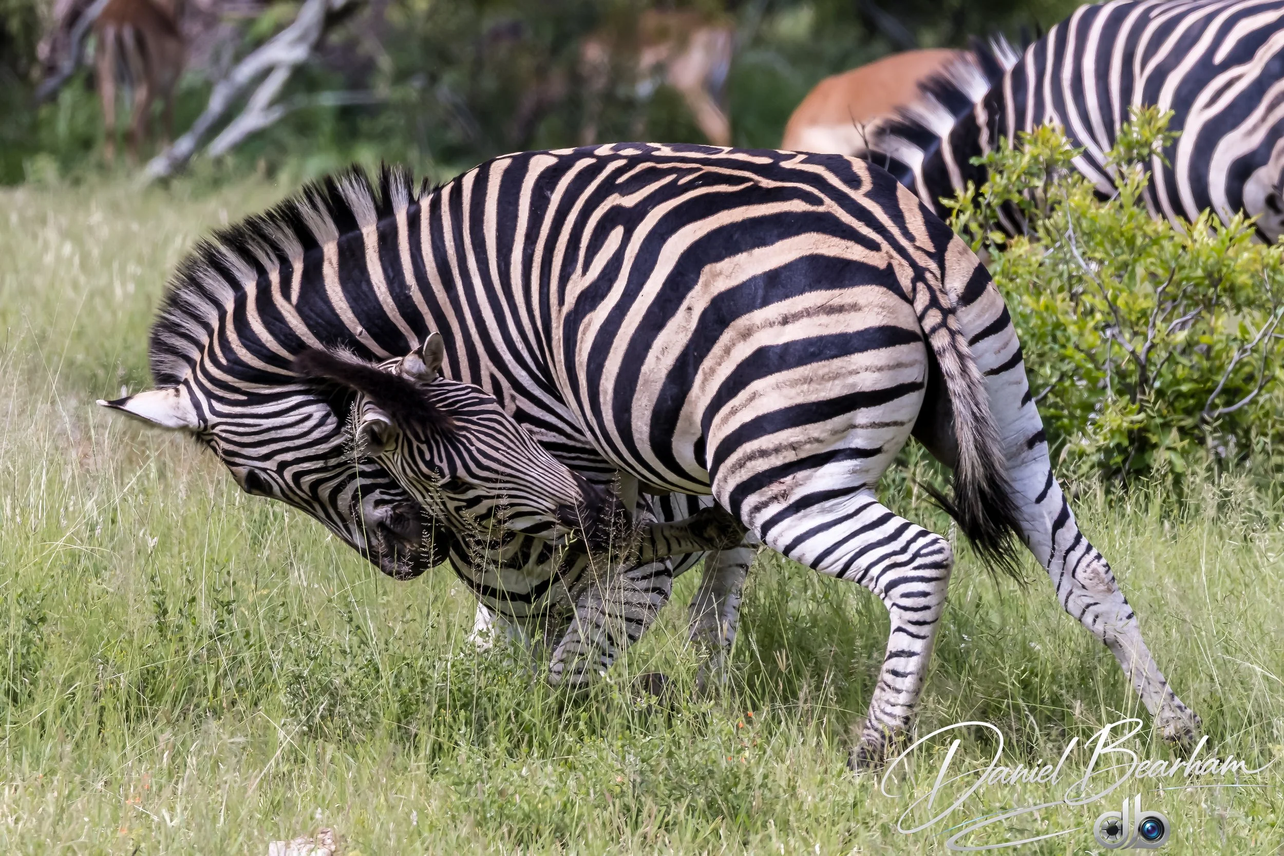 Website upload (73 of 87).jpg