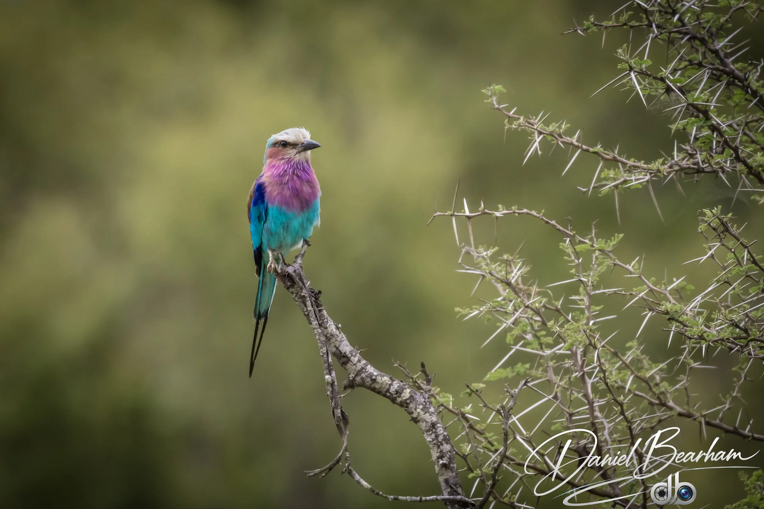 Website upload (41 of 87).jpg