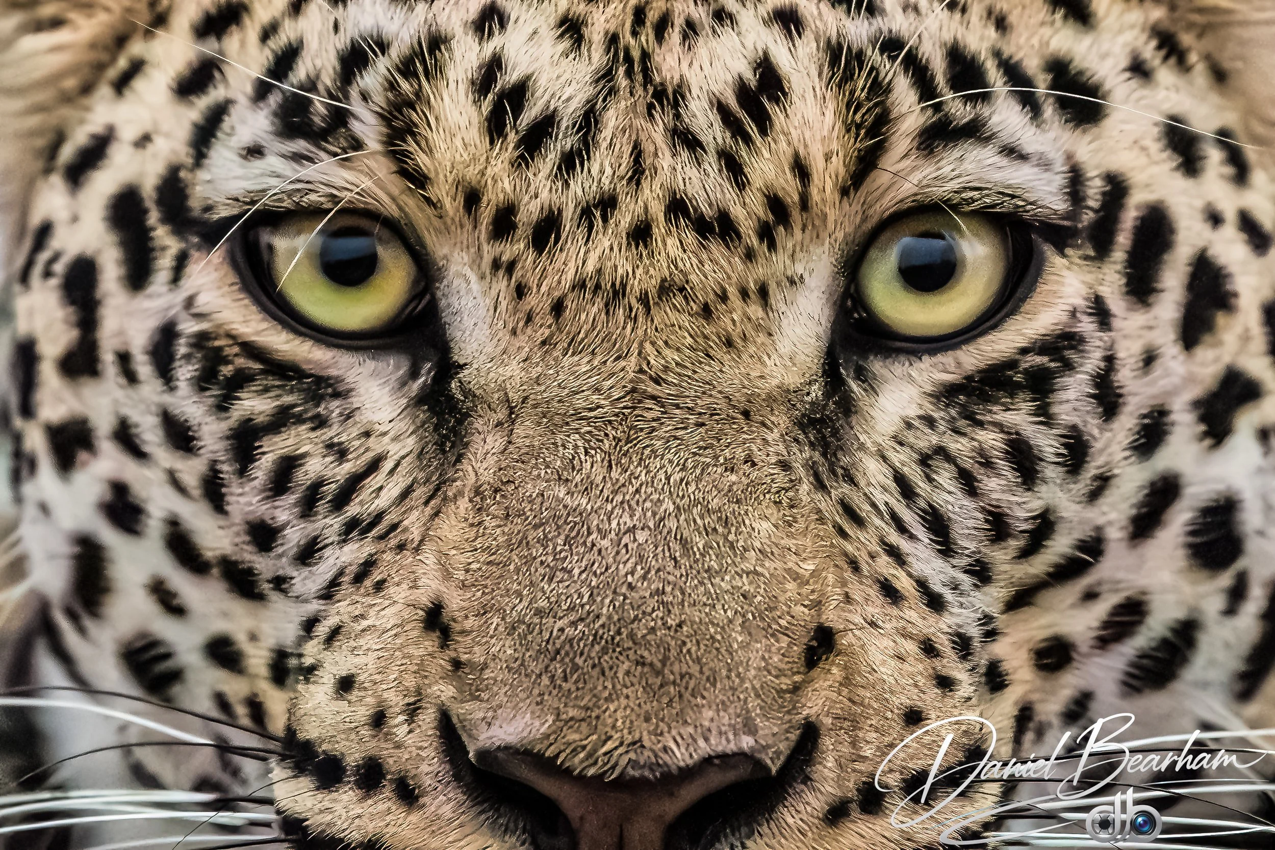 Website upload (14 of 87).jpg