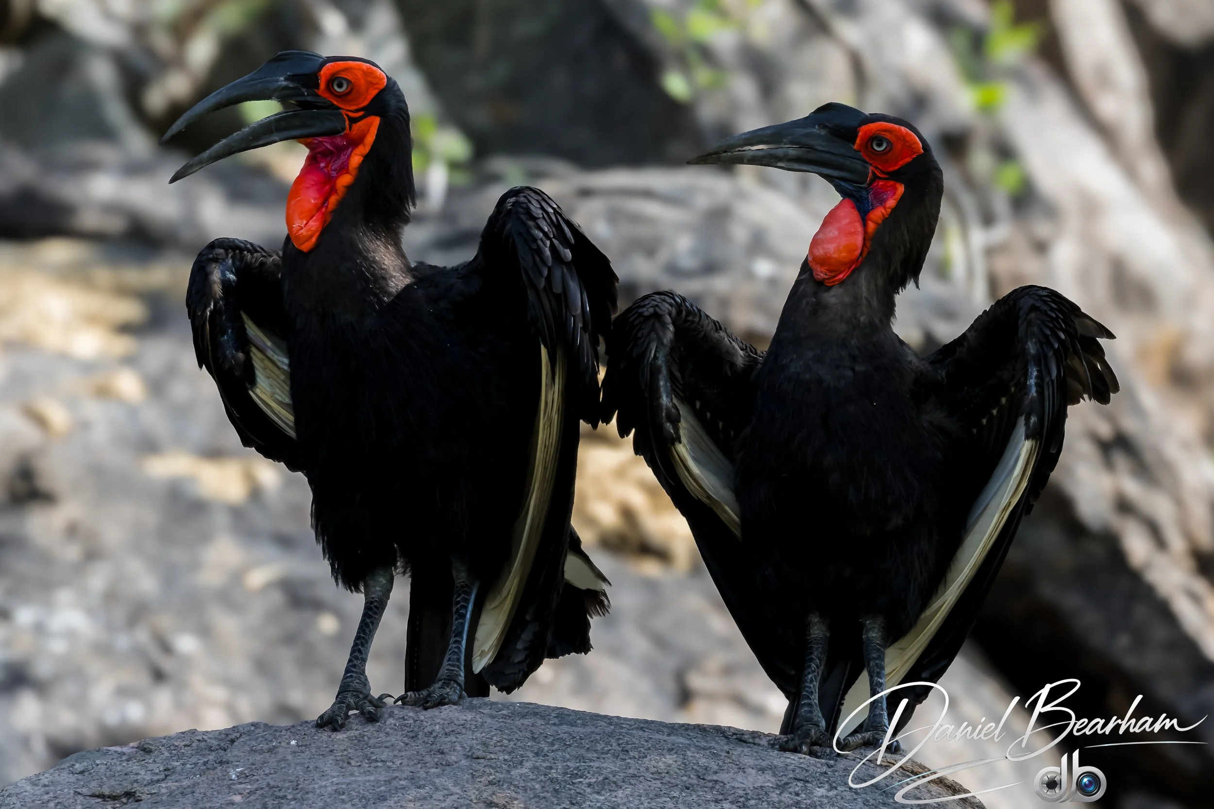 Website upload (68 of 87).jpg