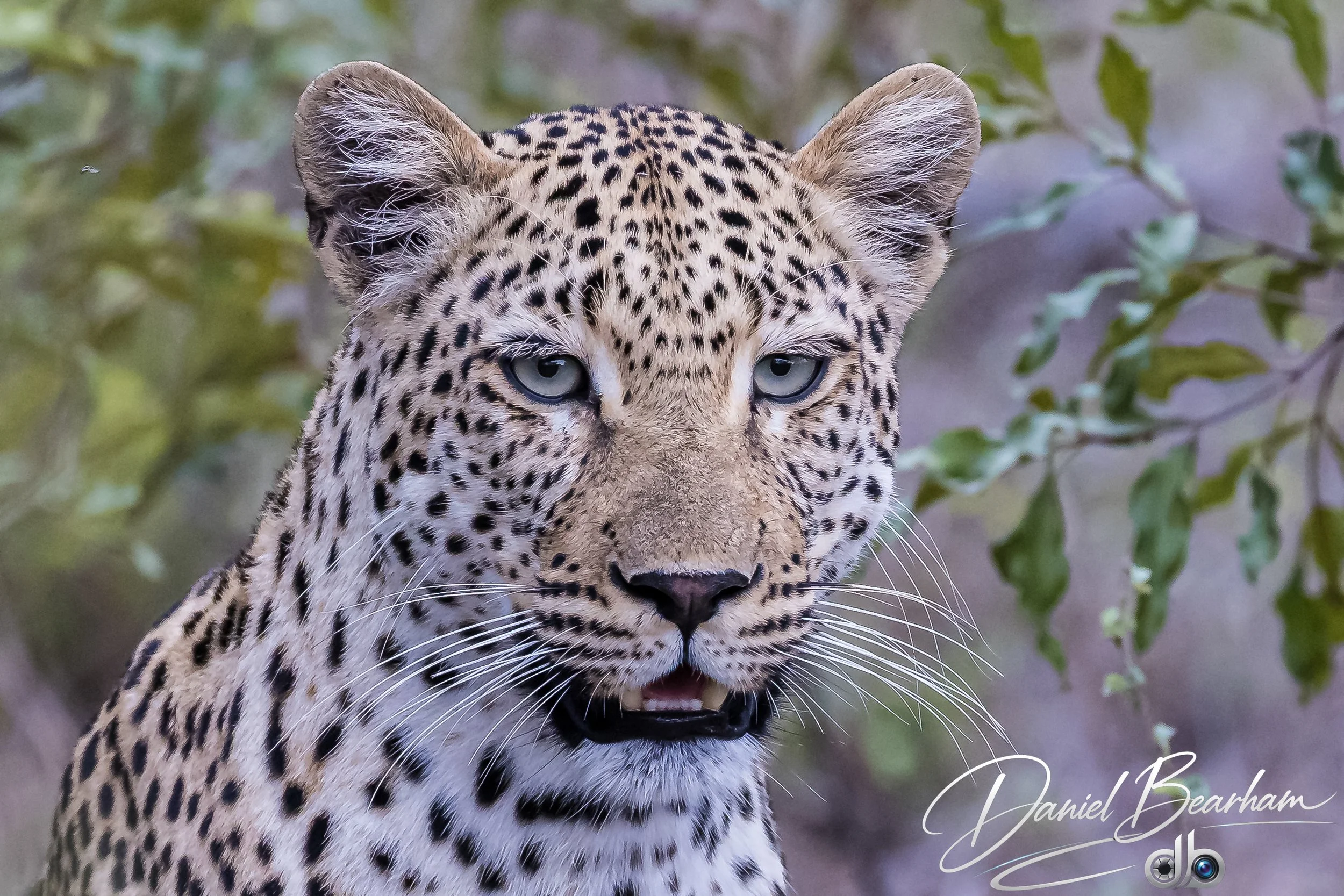 Website upload (16 of 87).jpg