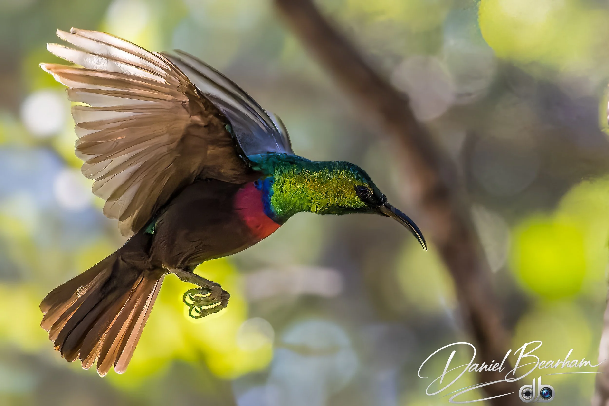 Website upload (59 of 87).jpg