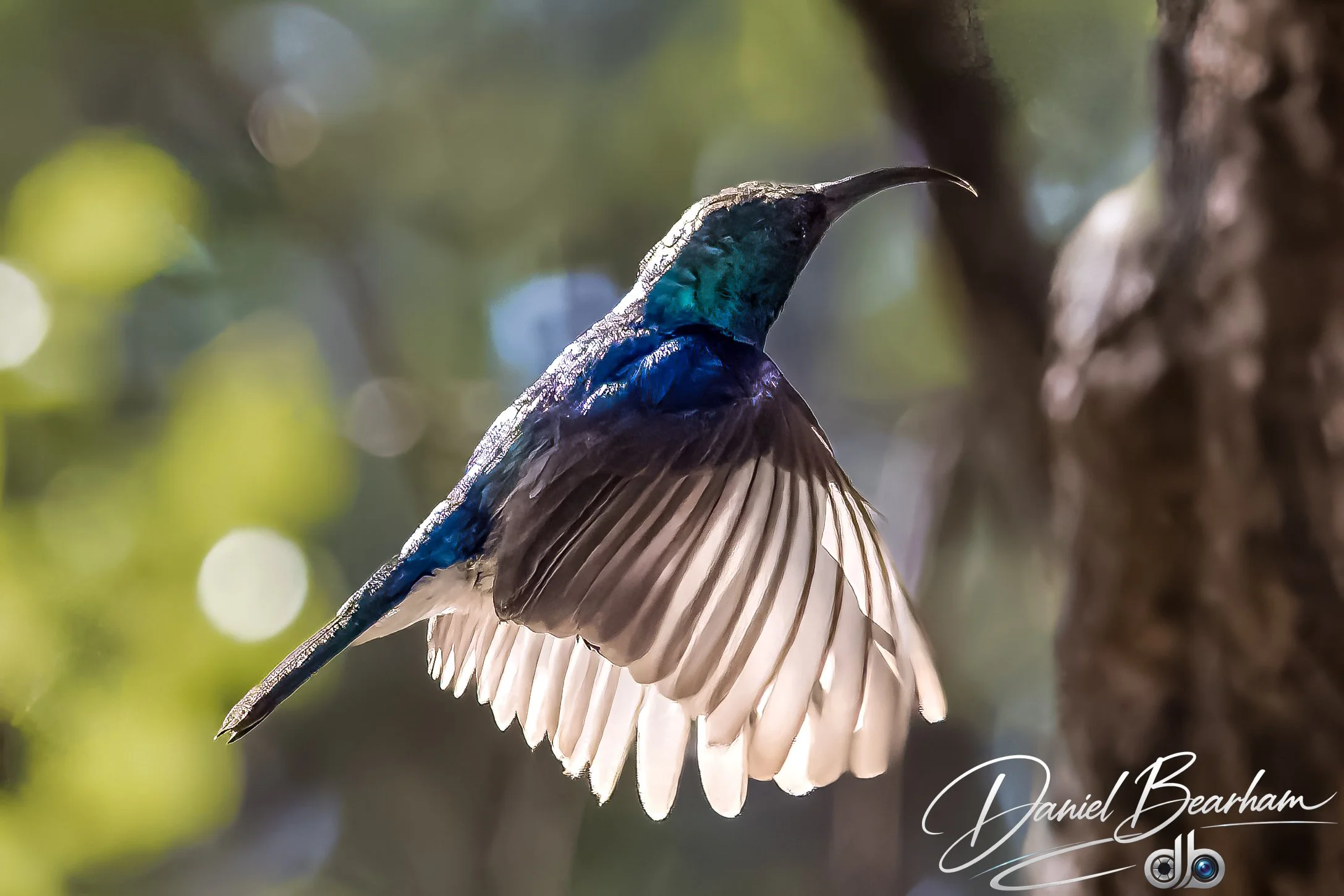 Website upload (60 of 87).jpg