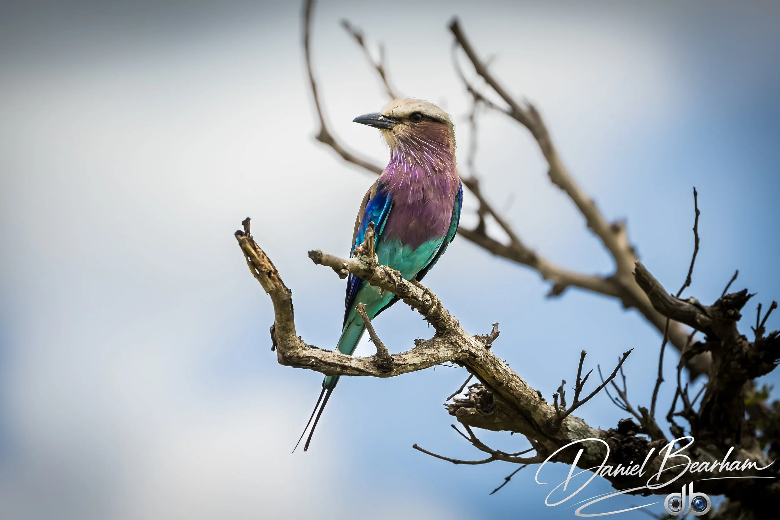 Website upload (79 of 87).jpg