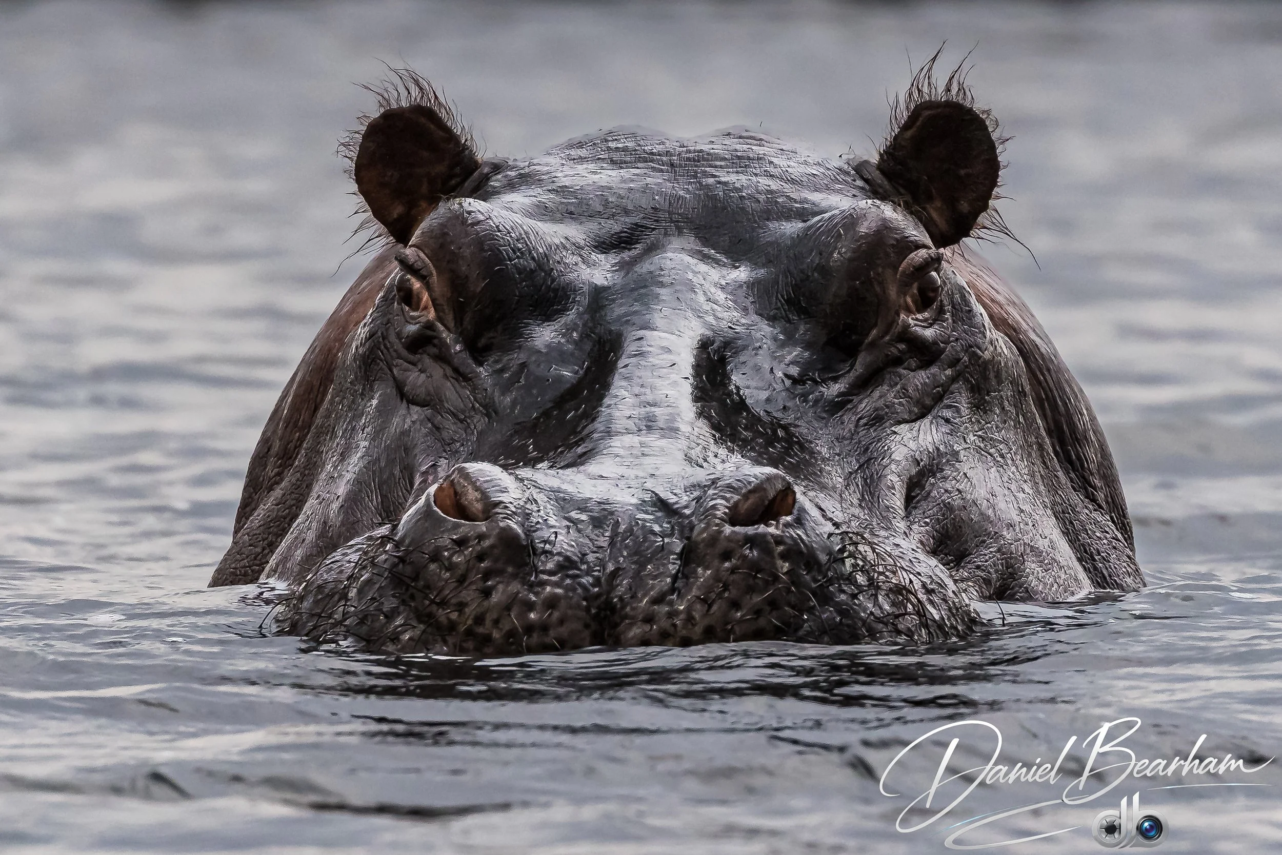 Website upload (20 of 87).jpg