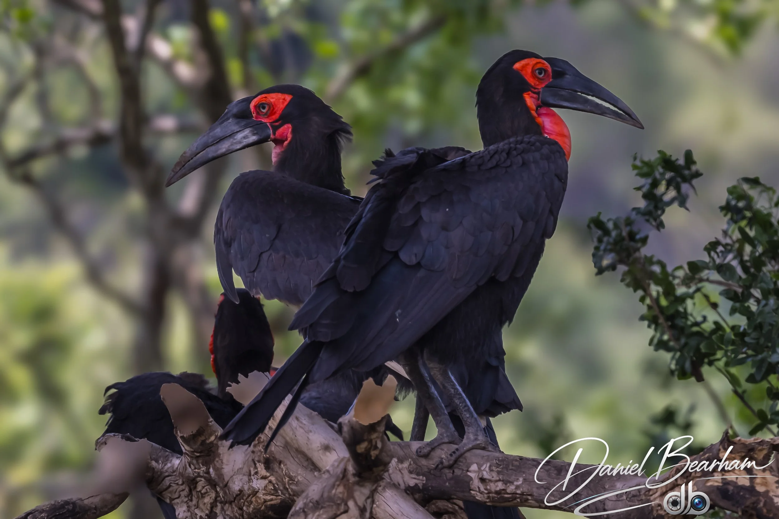 Website upload (65 of 87).jpg