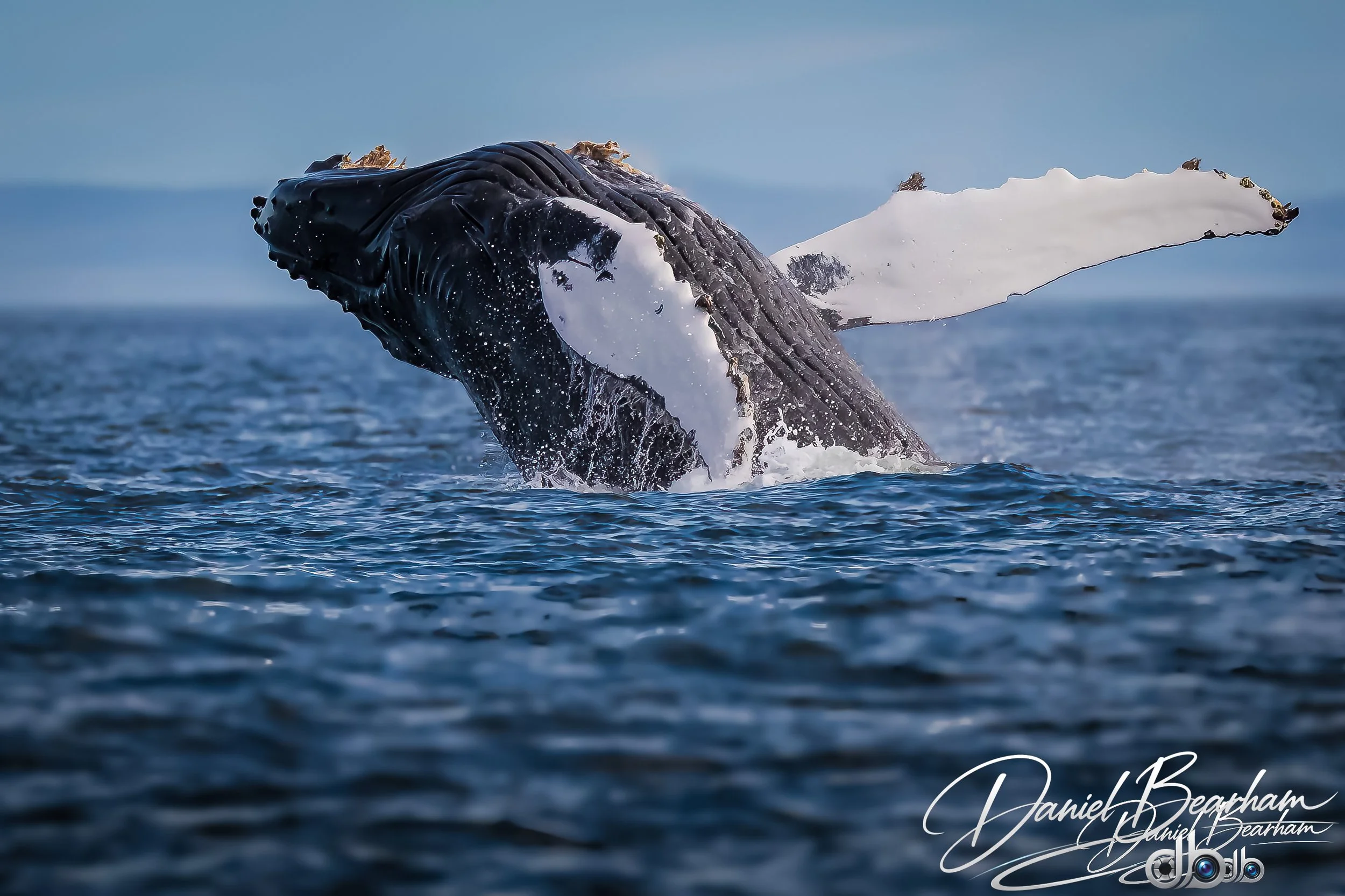 Website upload (7 of 87).jpg