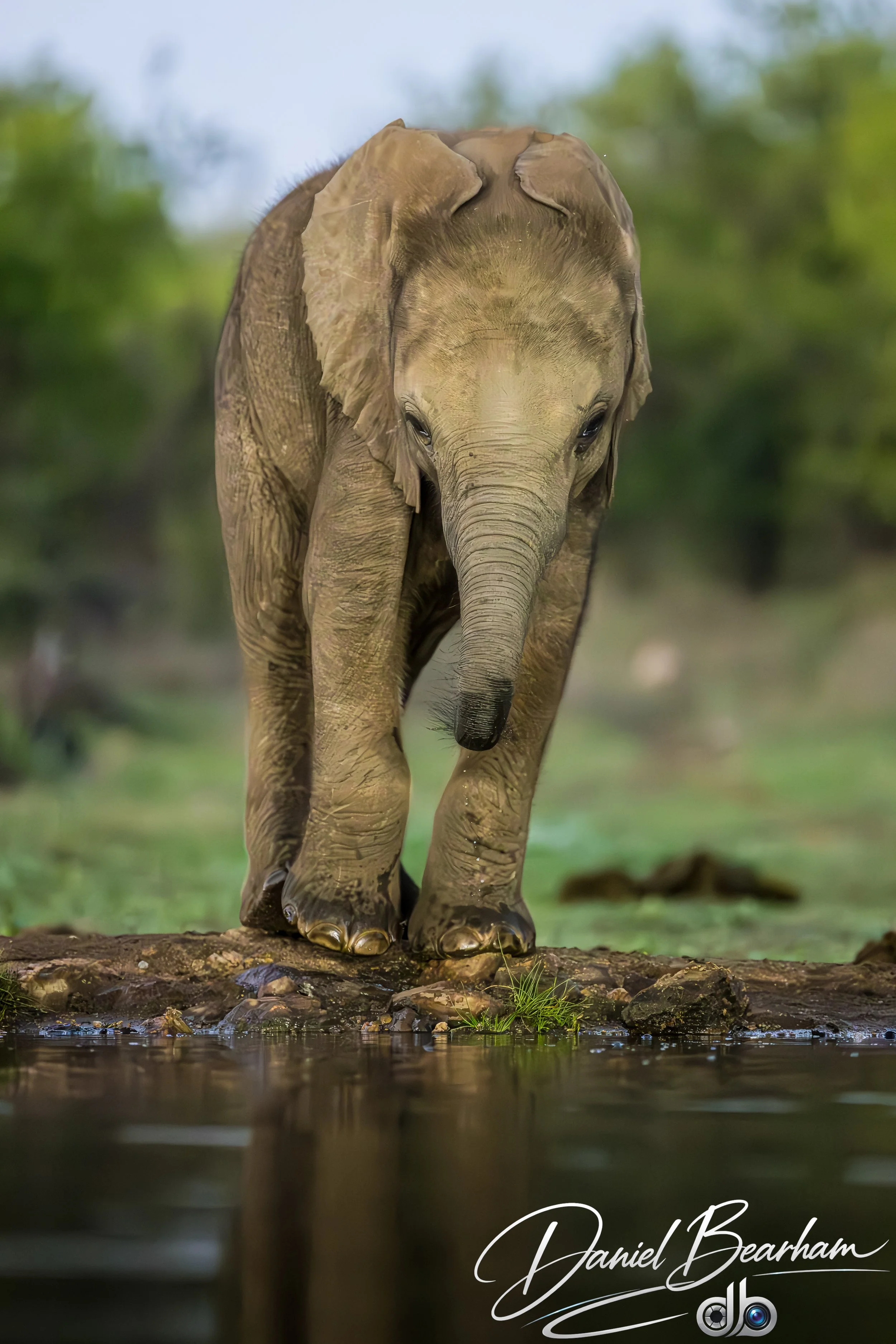 Website upload (51 of 87).jpg