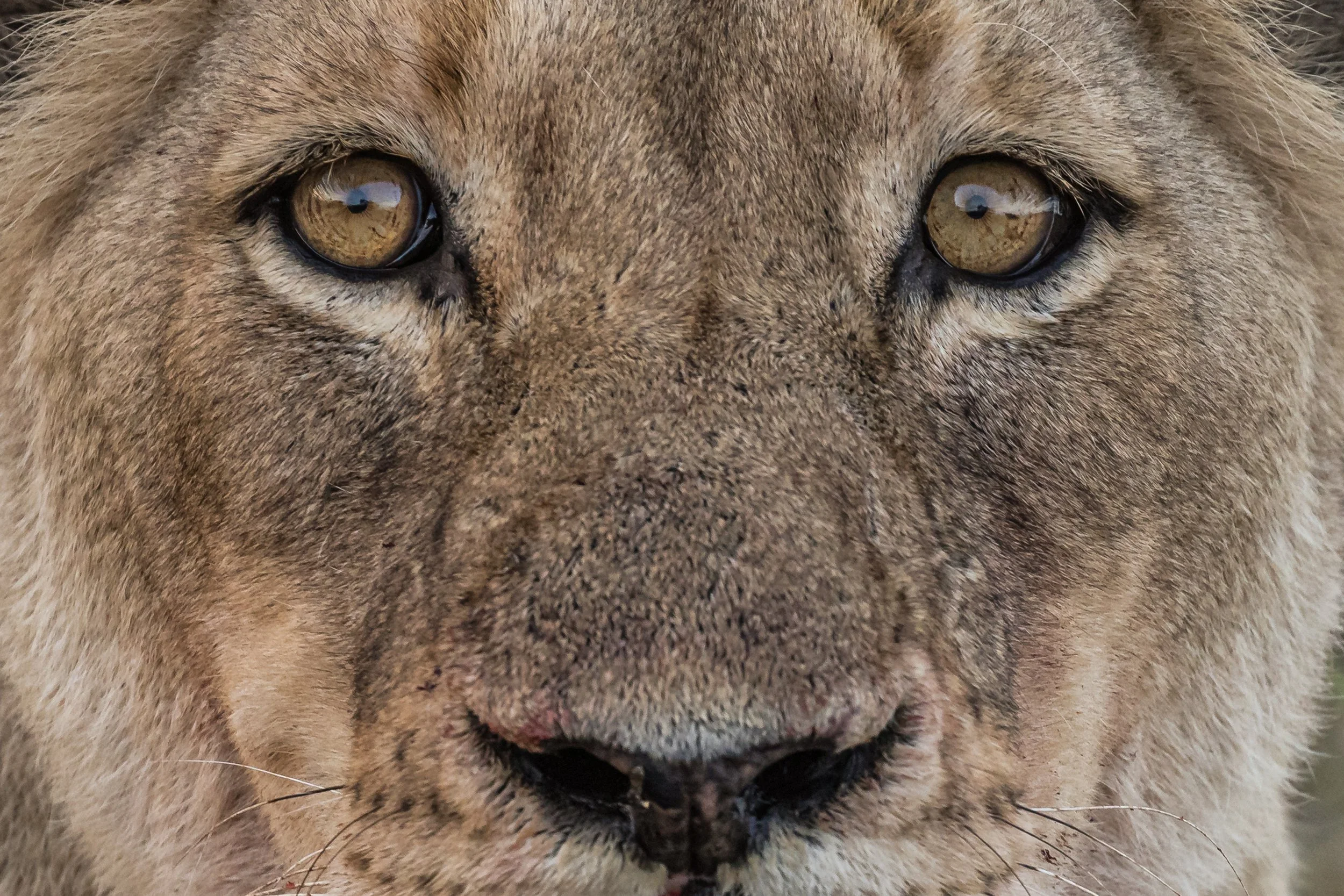 Keepers Done_0222.JPG