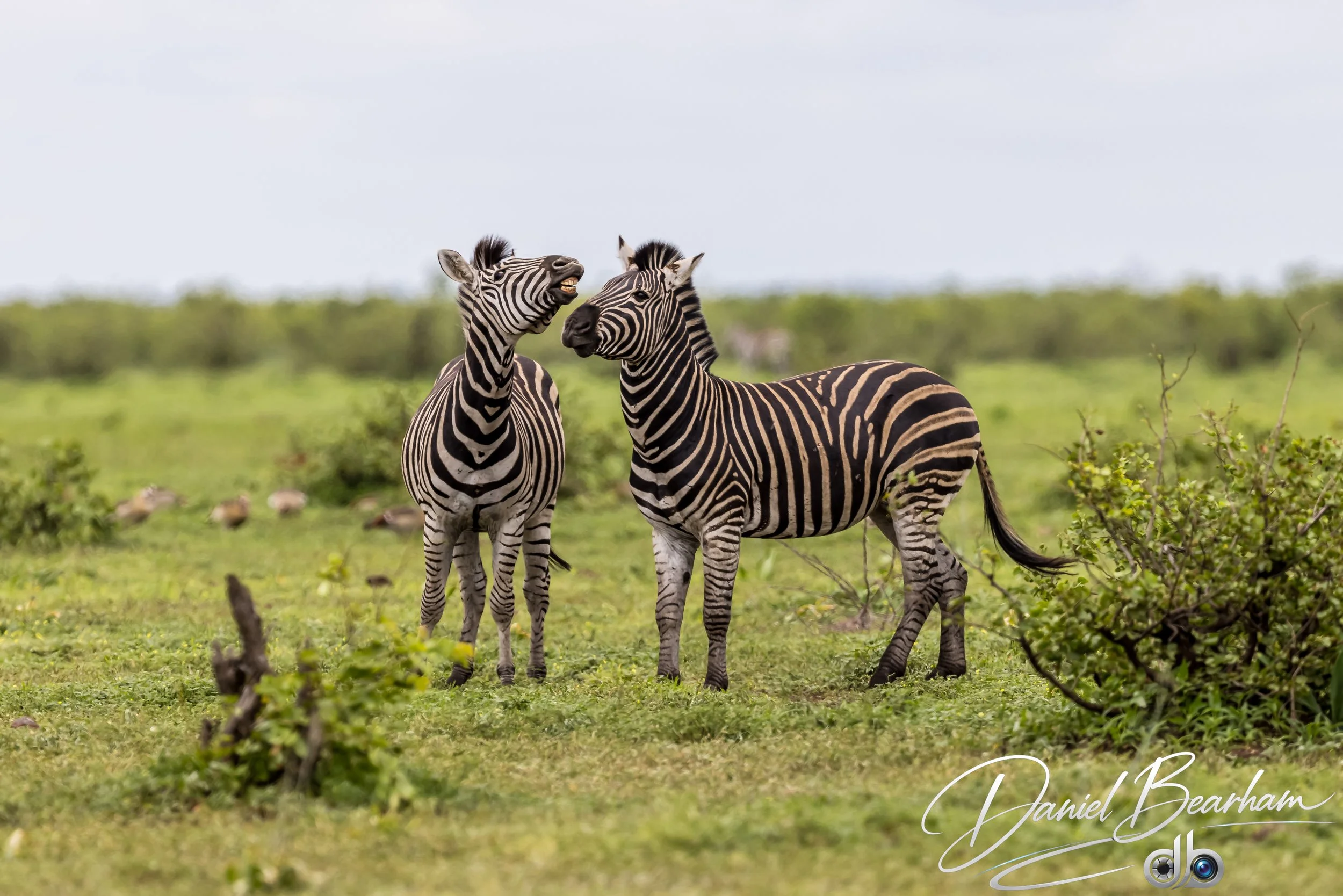 Website upload (67 of 87).jpg