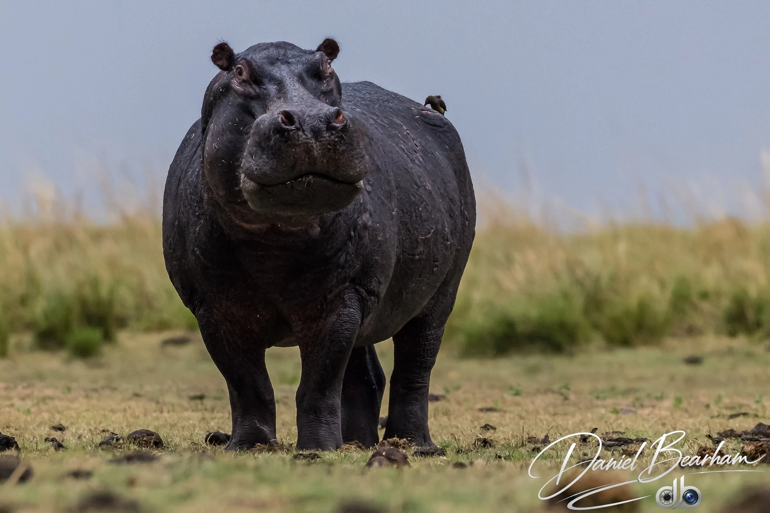 Website upload (22 of 87).jpg