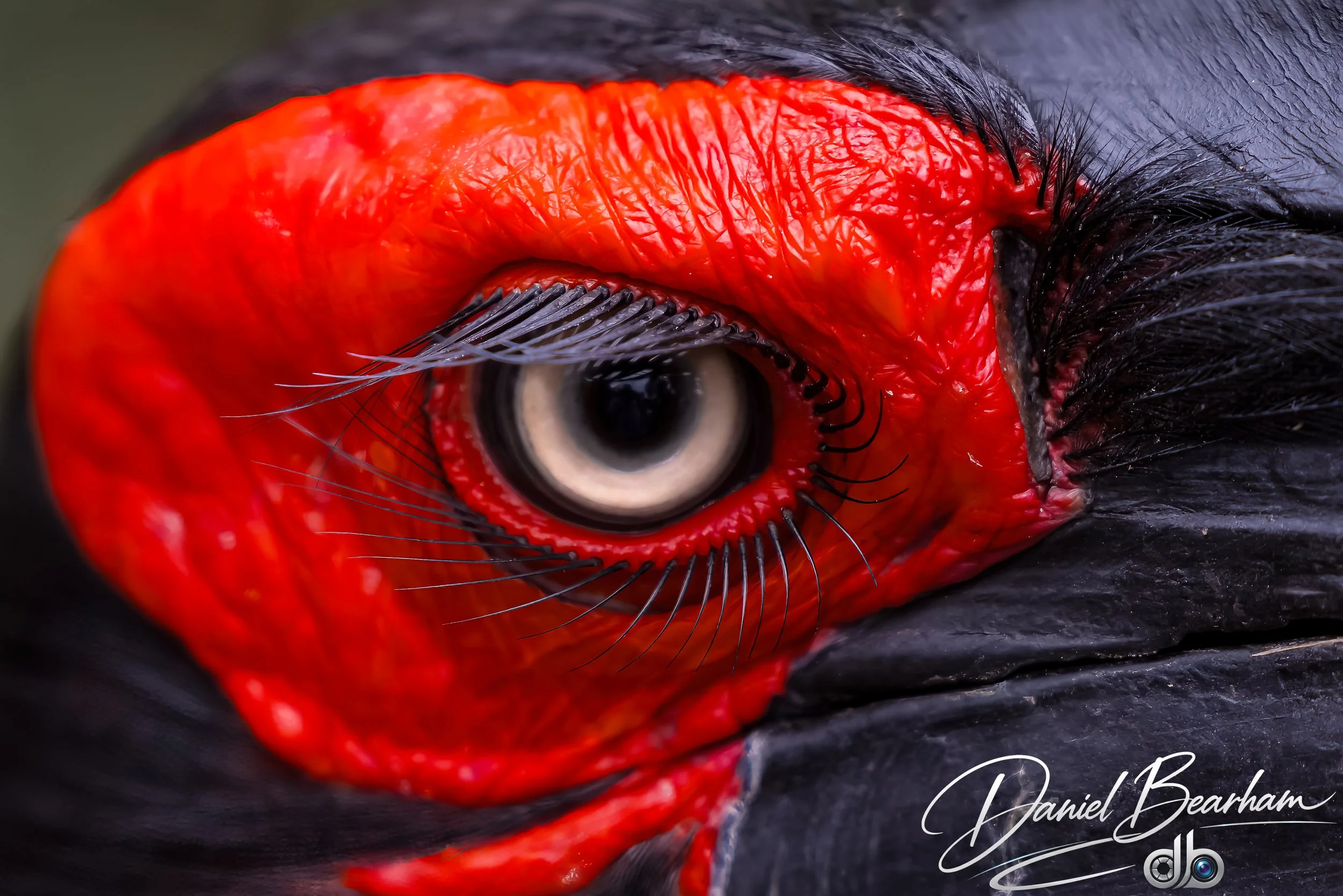 Website upload (82 of 87).jpg