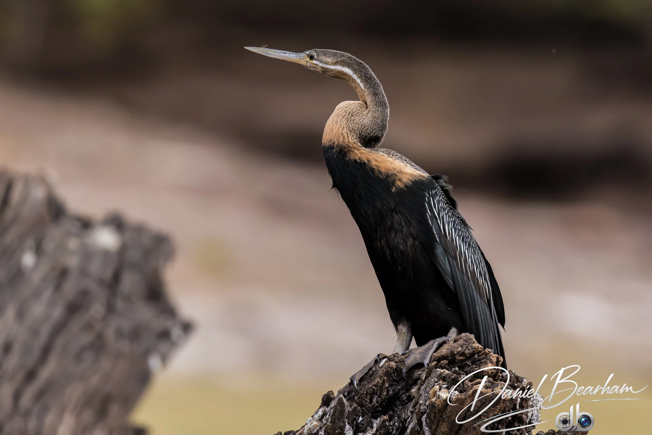 Website upload (19 of 87).jpg