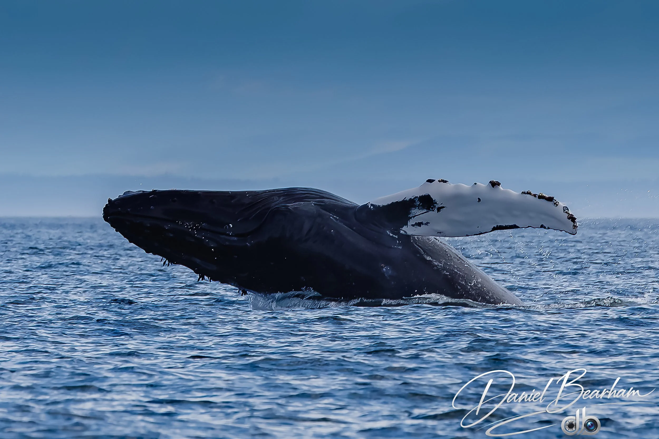 Website upload (6 of 87).jpg