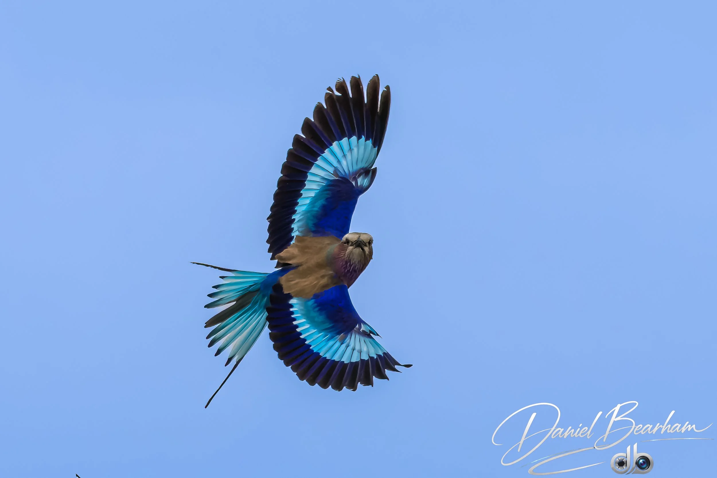 Website upload (40 of 87).jpg