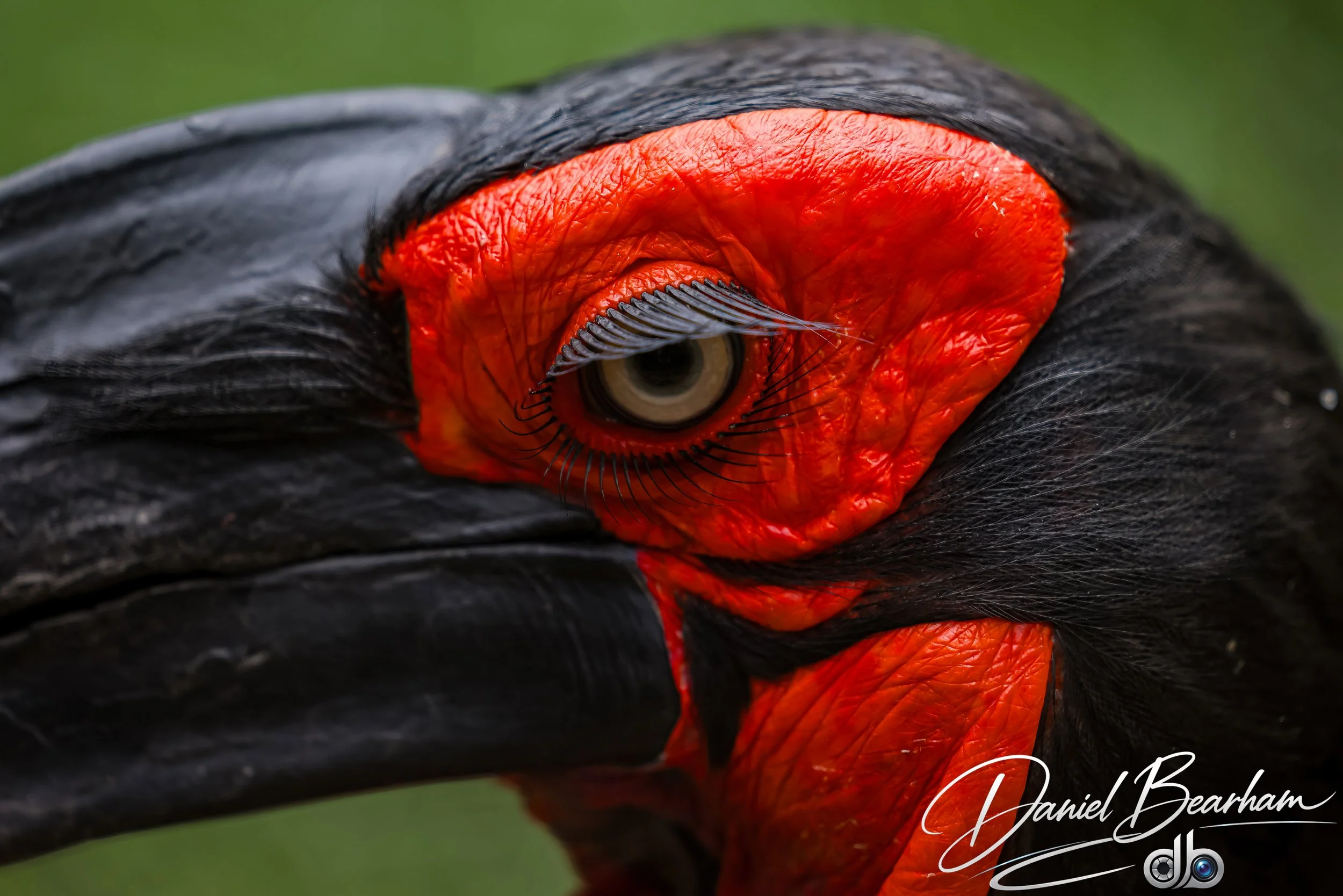 Website upload (83 of 87).jpg