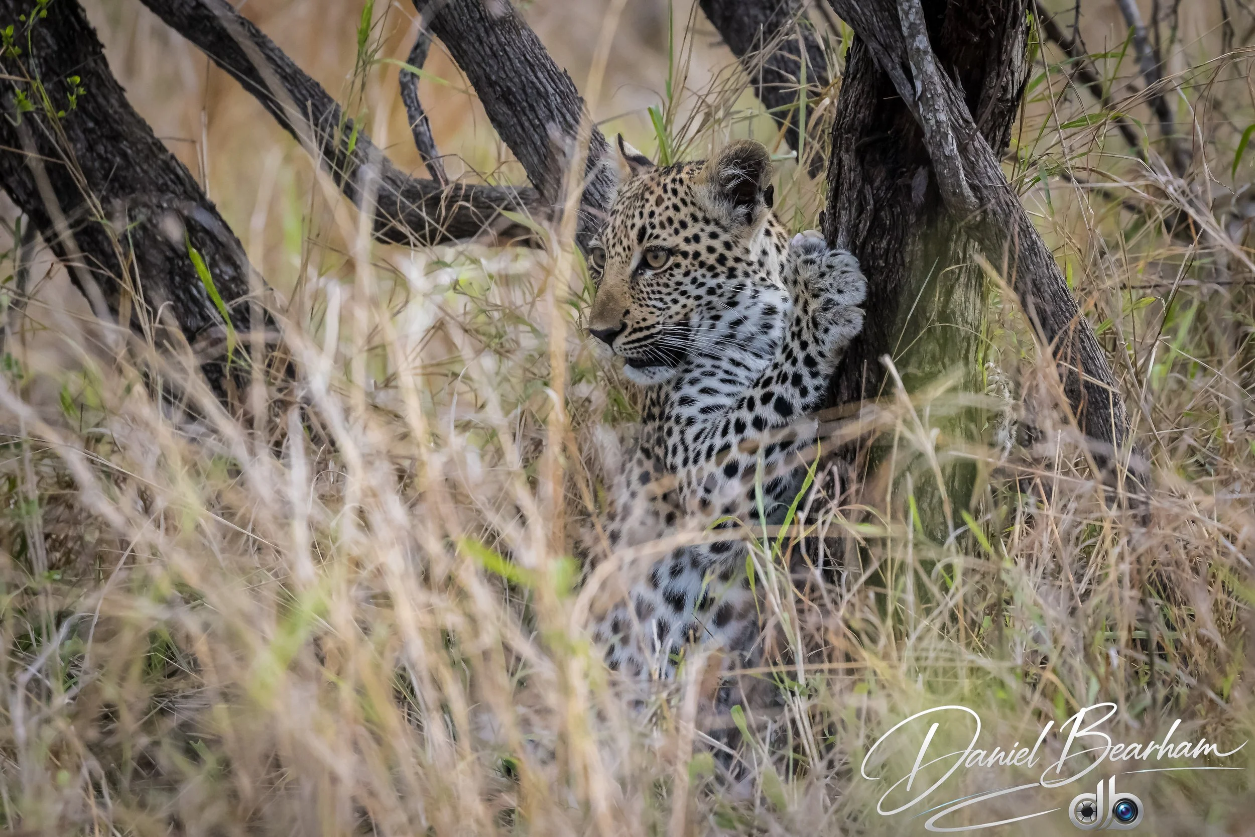 Website upload (15 of 87).jpg