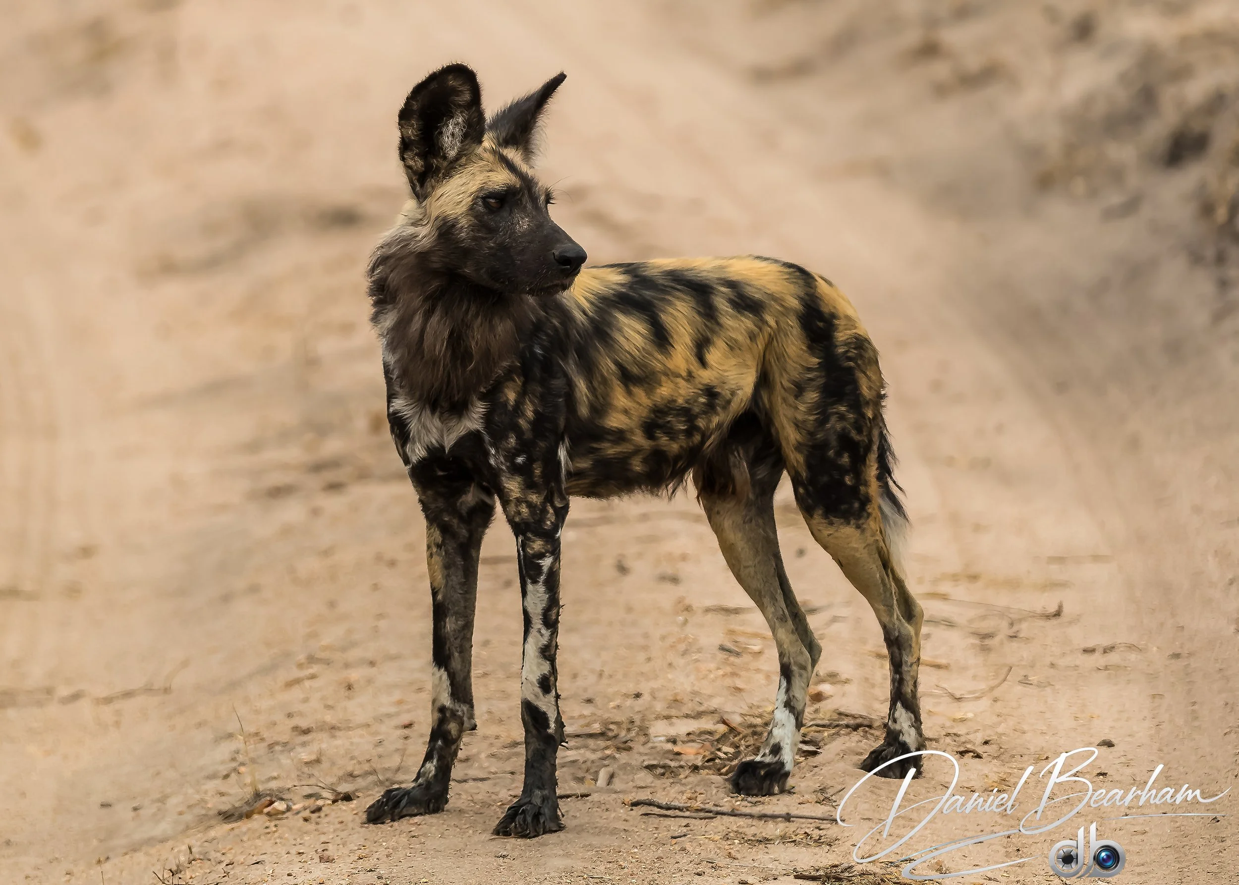 Website upload (2 of 87).jpg