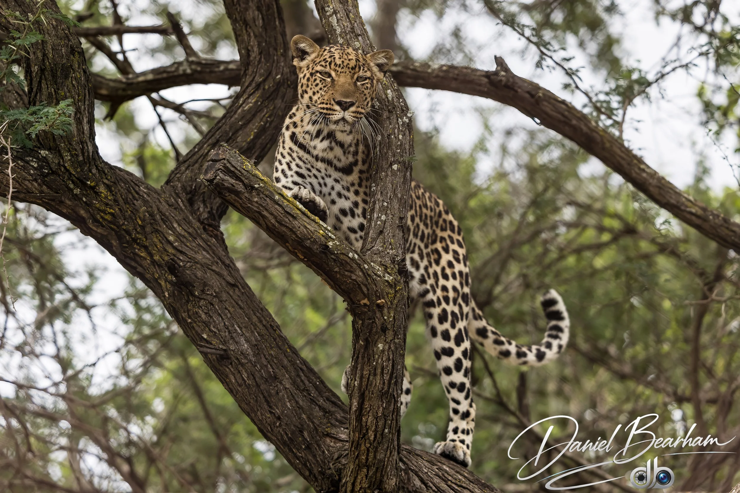 Website upload (80 of 87).jpg