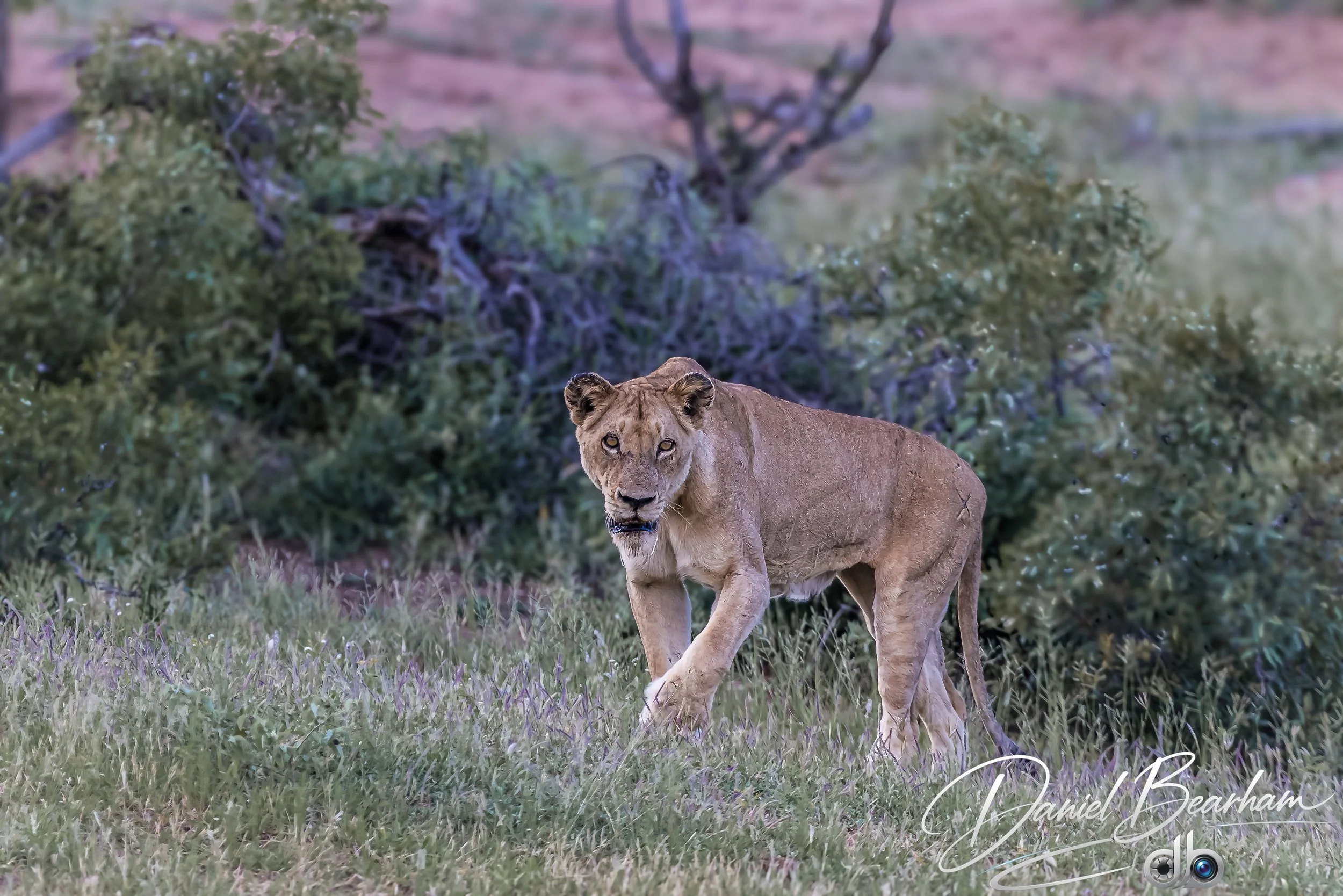 Website upload (78 of 87).jpg