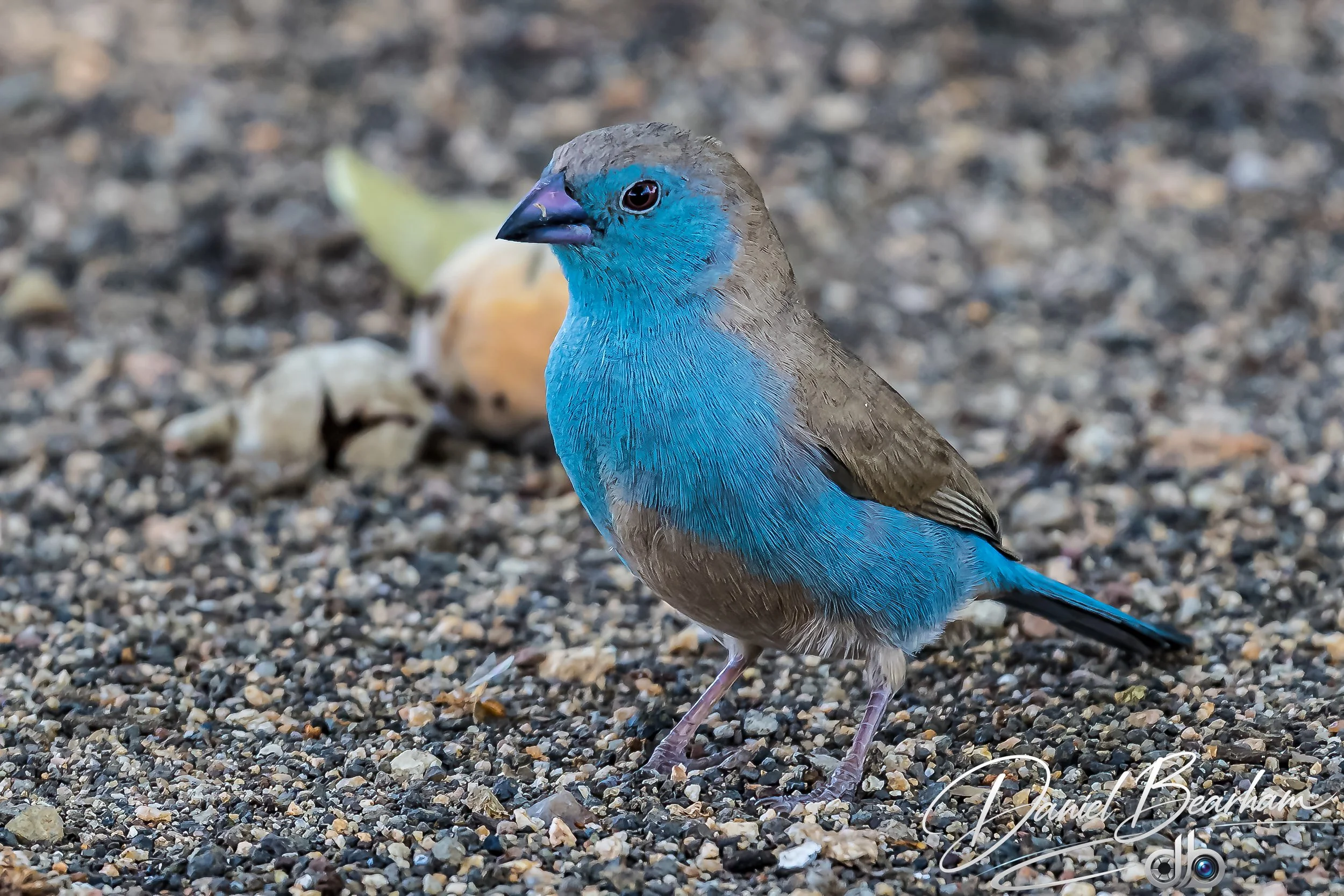 Website upload (64 of 87).jpg