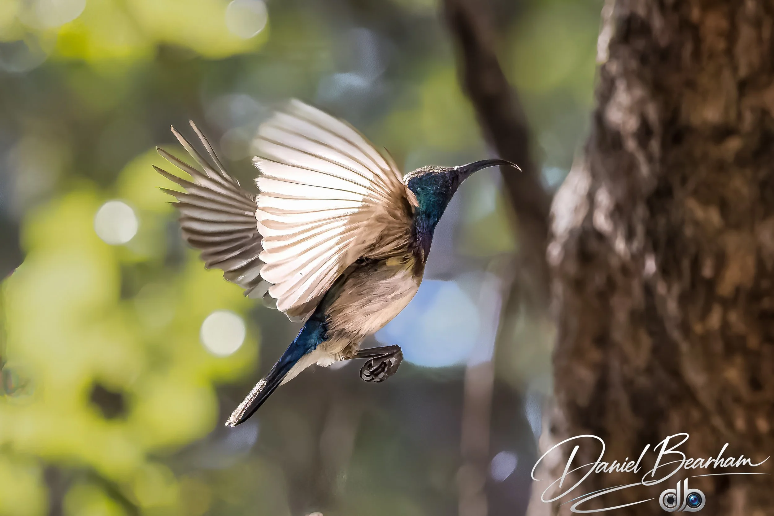 Website upload (61 of 87).jpg