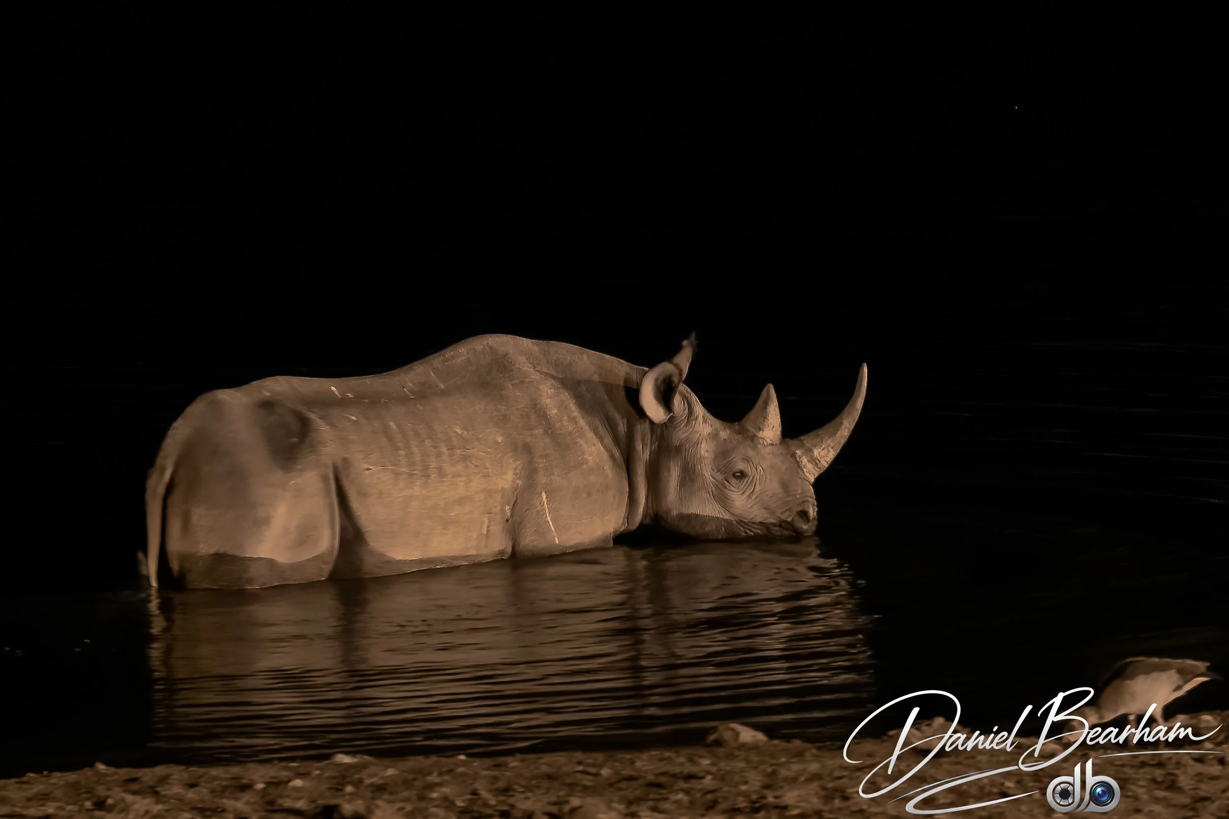 Website upload (32 of 87).jpg