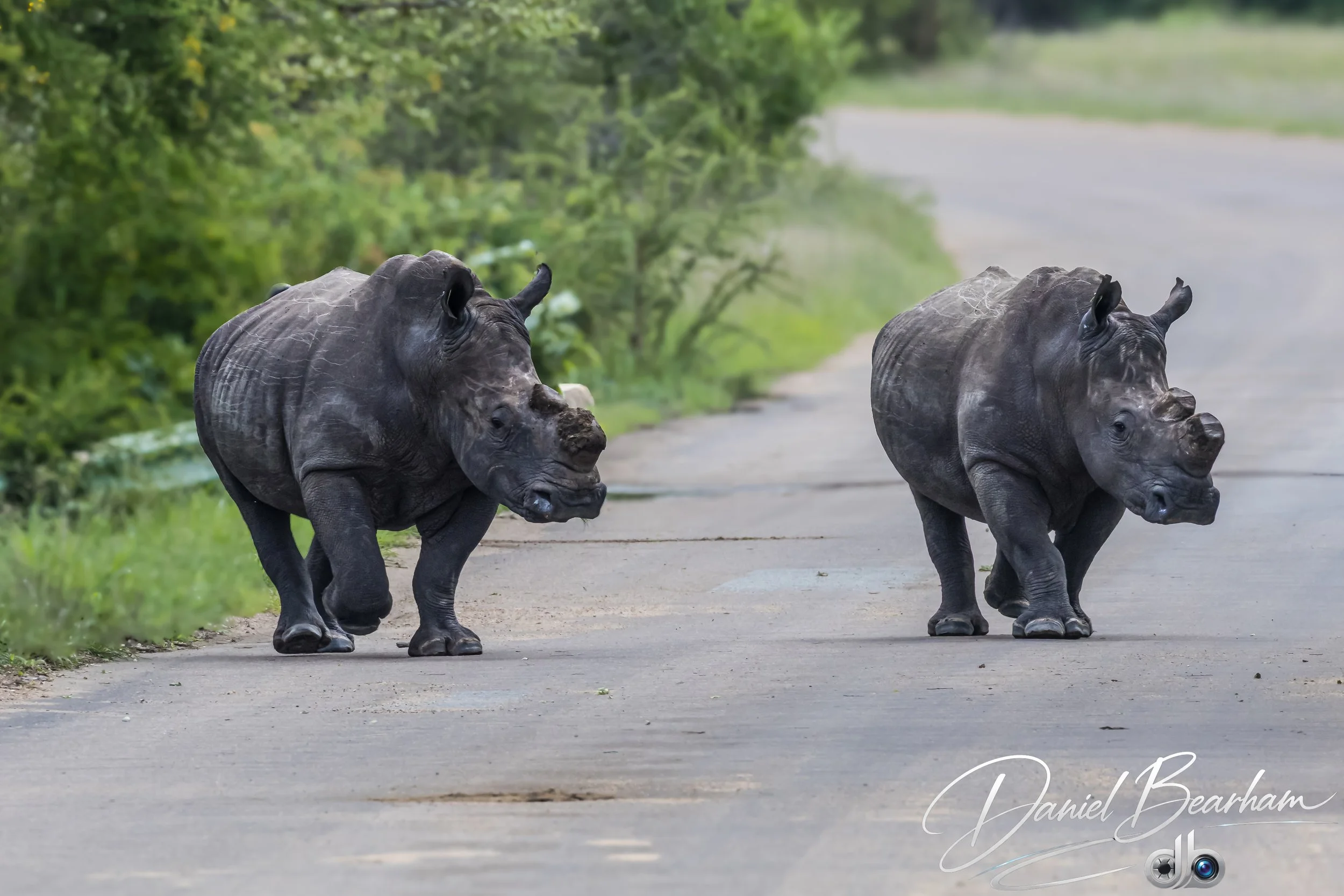 Website upload (56 of 87).jpg