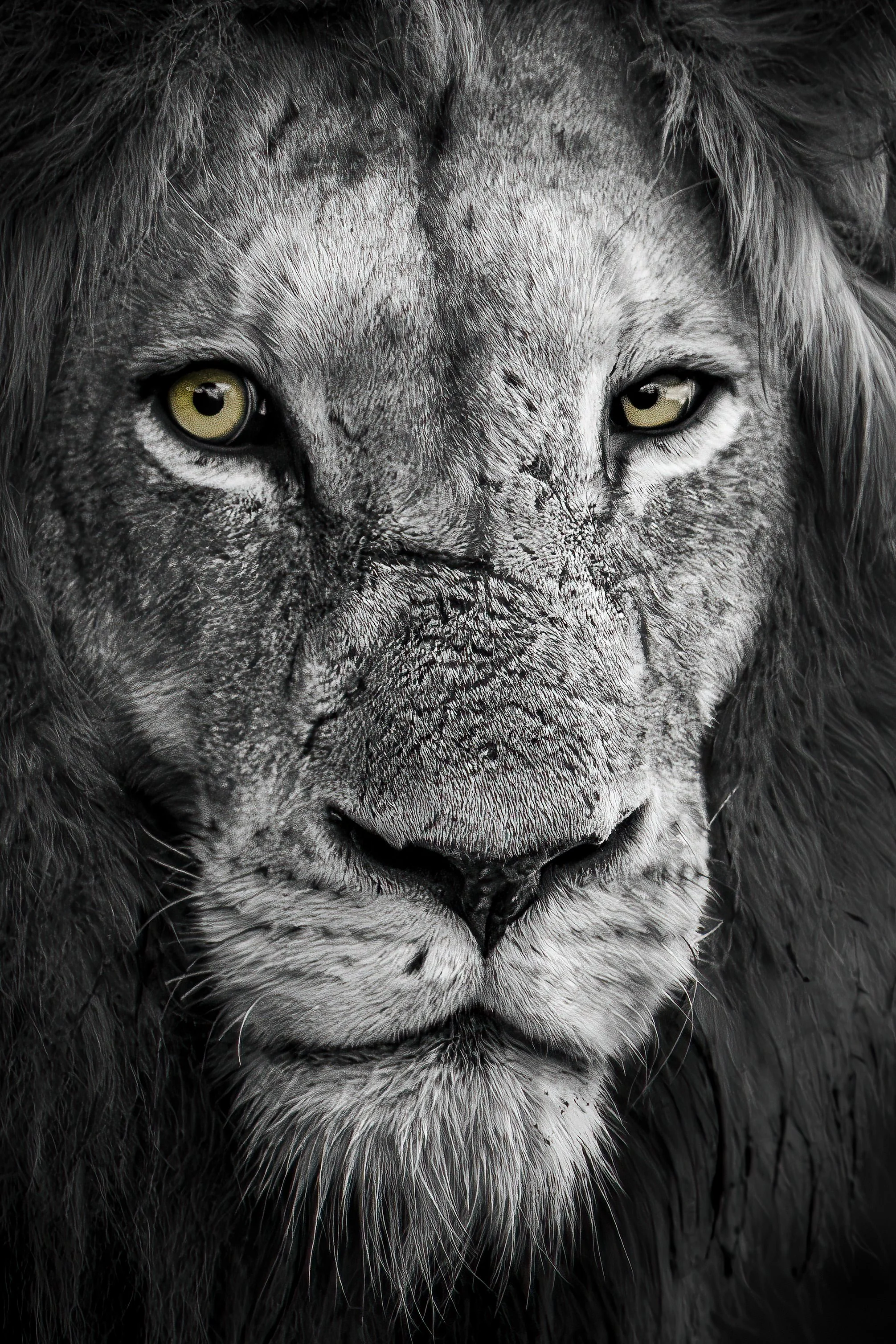 African Wall Art