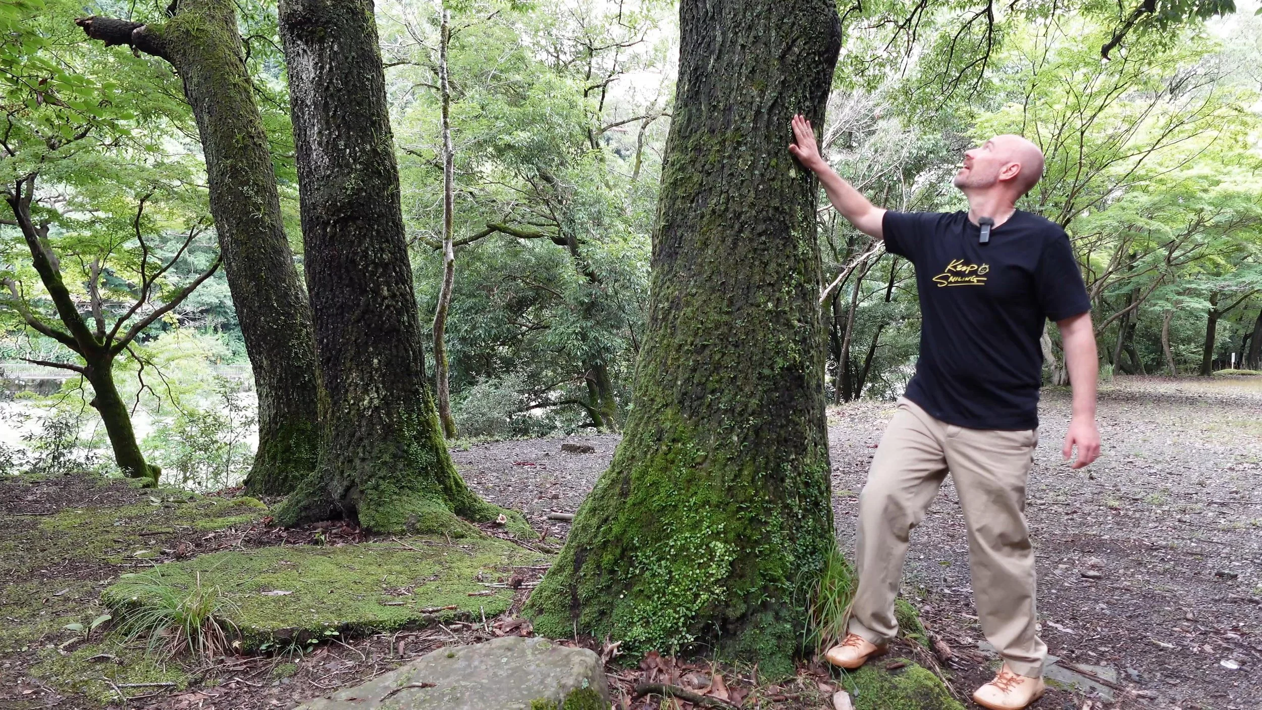 Shannon Naturopath Nature.jpg