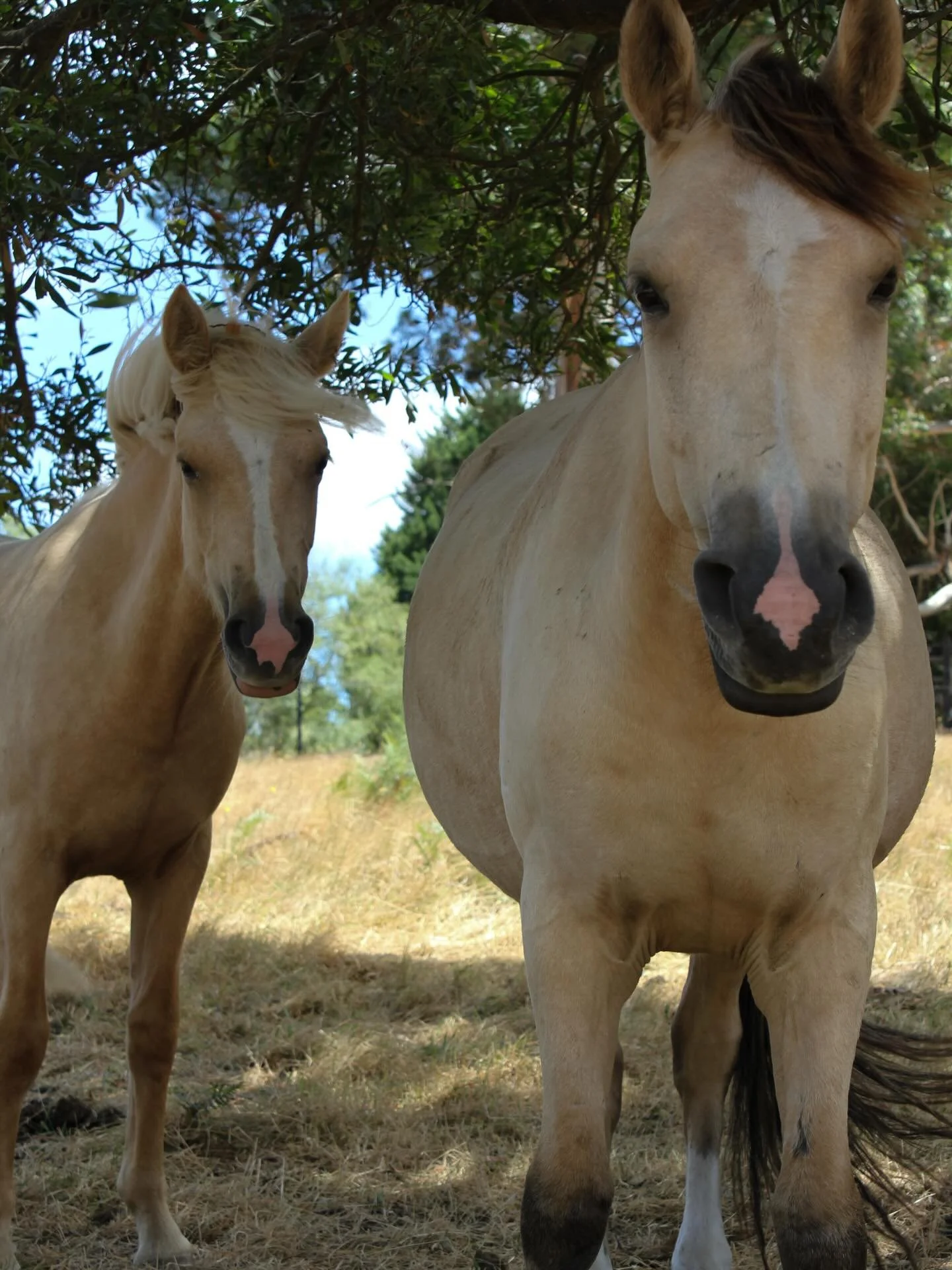 The best kind of company during your stay