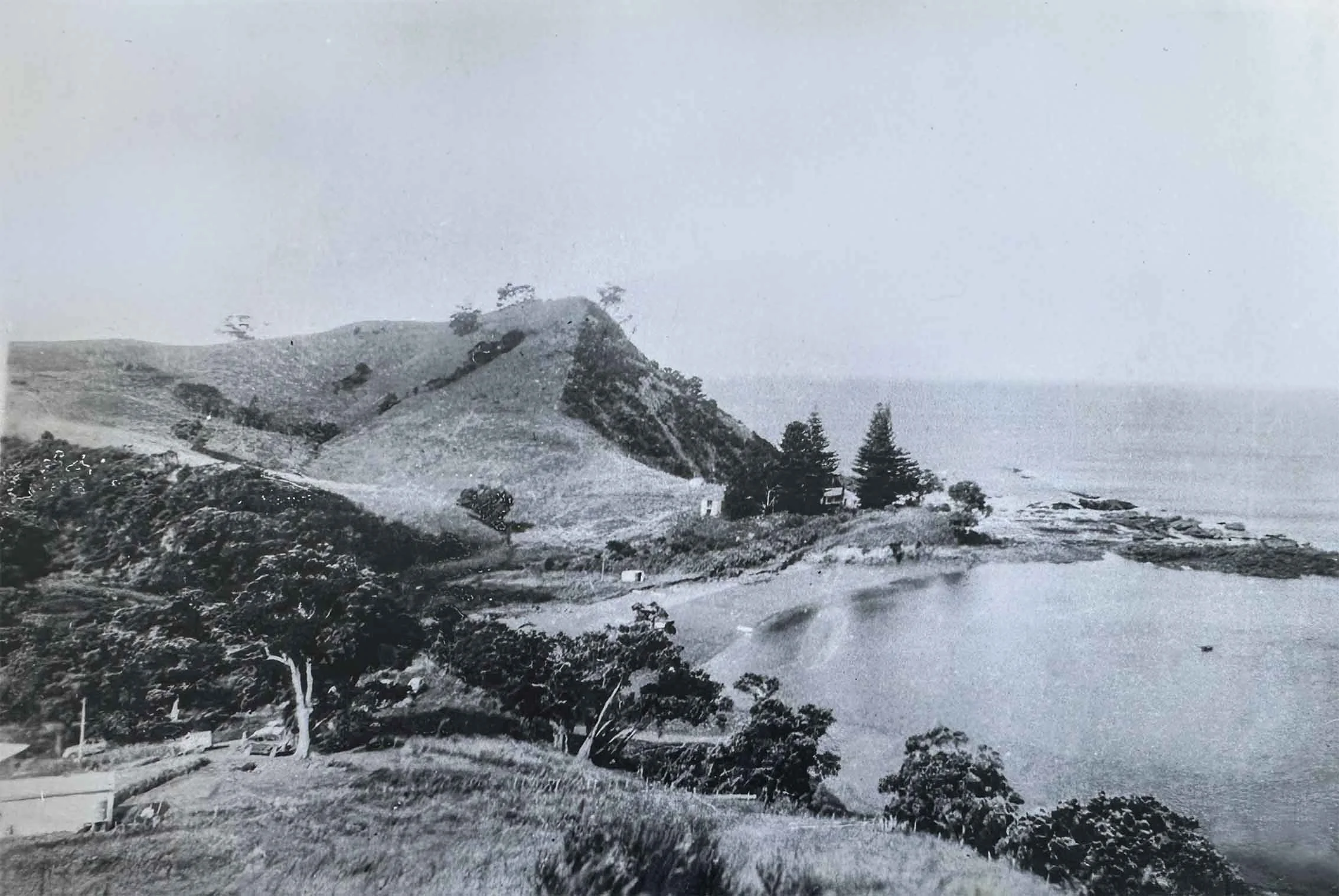 Recollections of the bay with John Hagen