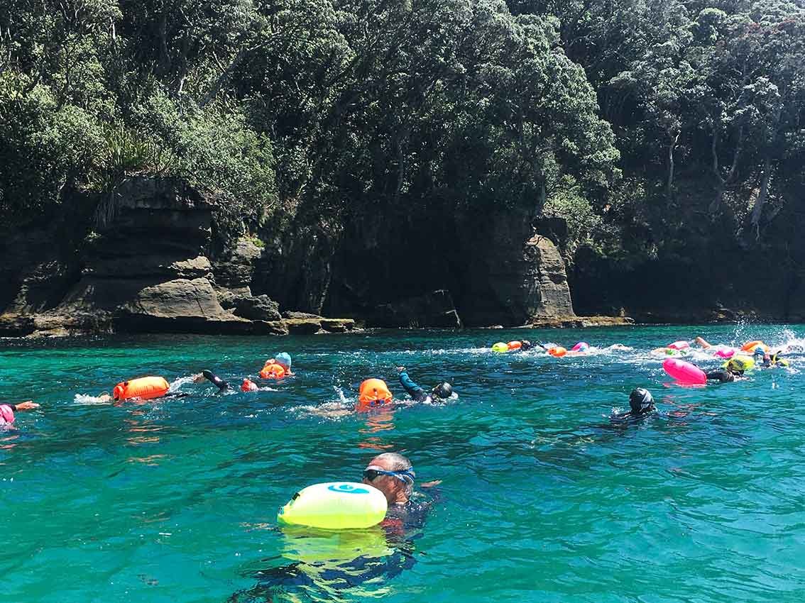 swim_01.jpg