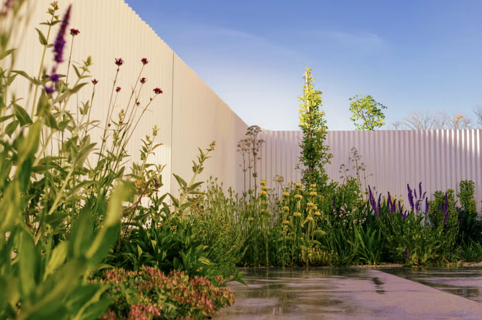 Jardín de revista con alta densidad y plantaciones naturalistas, lleno de flores las plantar bordean una valla de metal blanco y  un pavimento de hormigón pulido, bajo un cielo despejado.