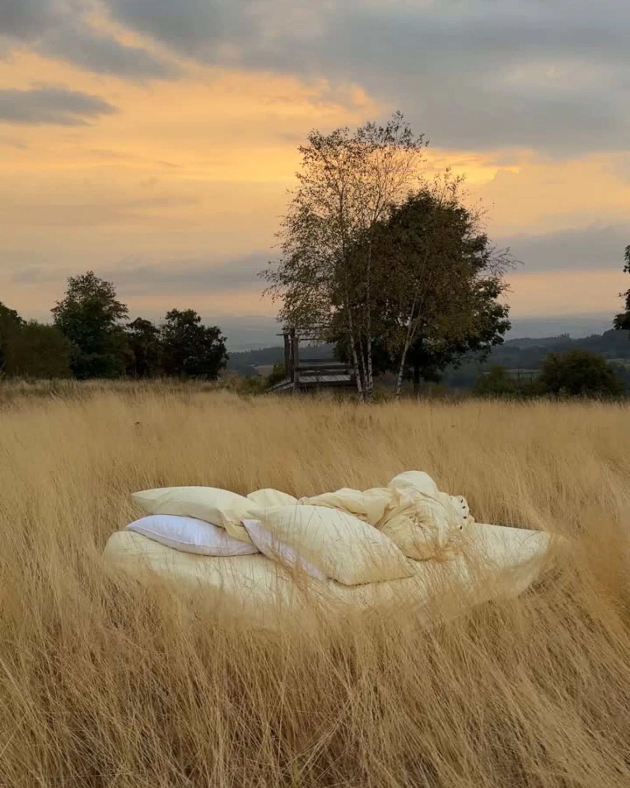 CD Instagram post.jpg