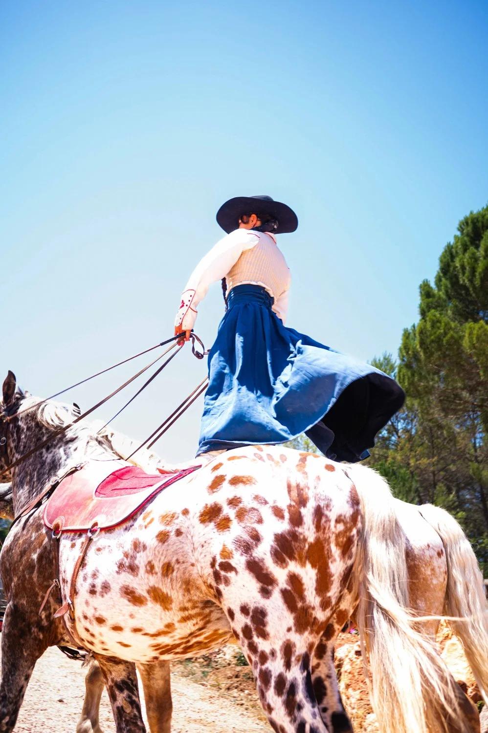 DDAMROE_LIVING _IN_AMERICA_TOURVES_24.jpeg