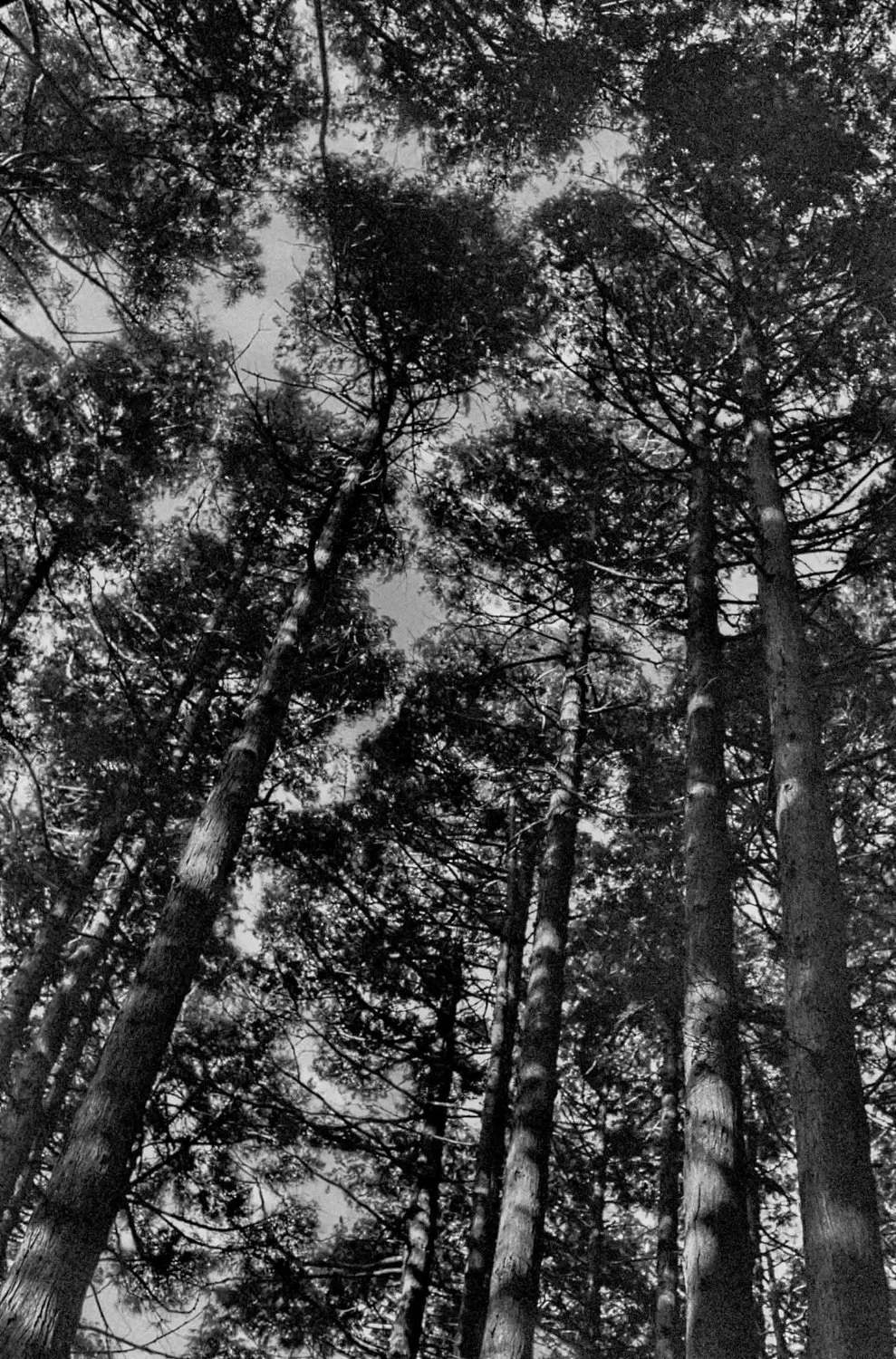 DDAMORE-CARNET-VOYAGE-JAPON_072.jpeg