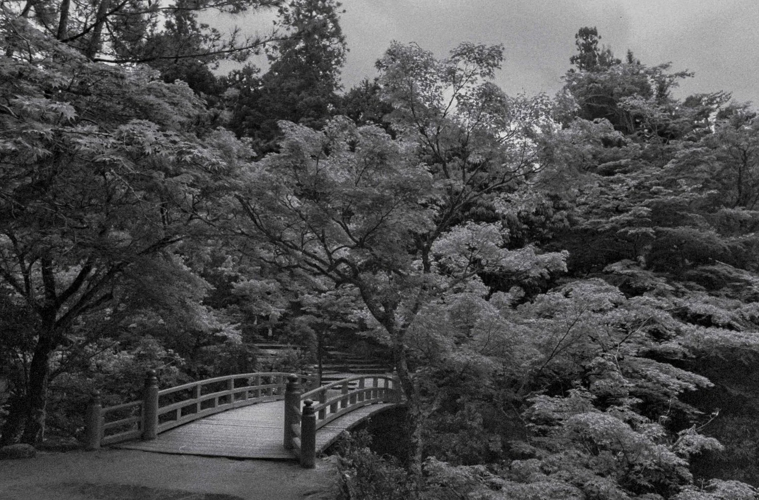 DDAMORE-CARNET-VOYAGE-JAPON_035.jpeg