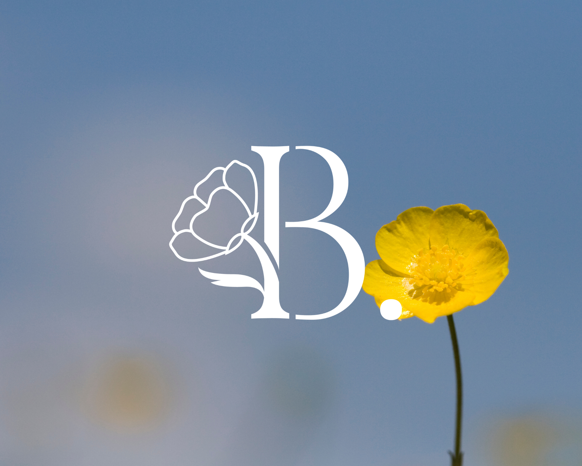 Een gele bloem met een blauwe lucht op de achtergrond, met een witte bloem- en letterlogo in het midden.