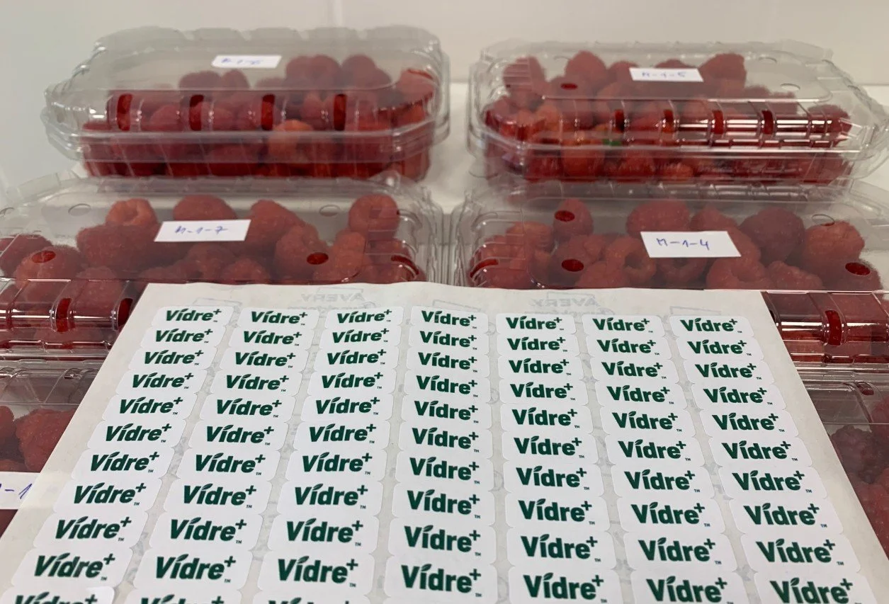 Gobelets en plastique remplis de framboises rouges, avec une étiquette de code. Devant, une feuille de stickers à logo 'Vidre+'.