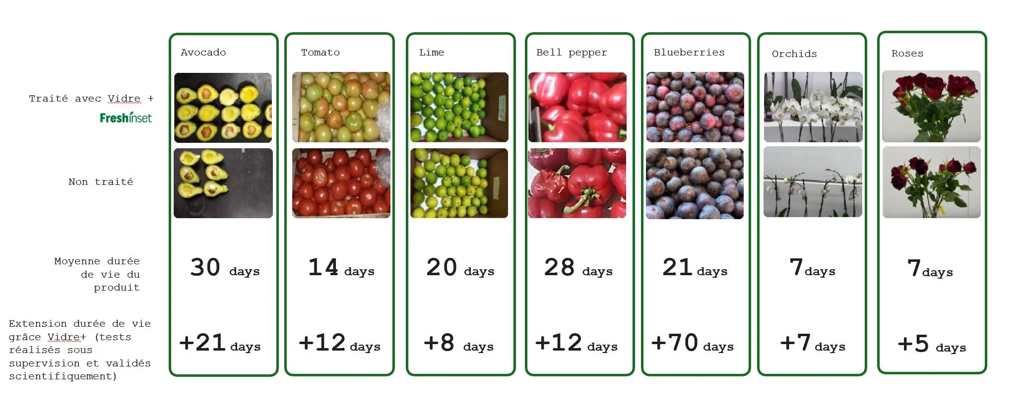 Tableau comparatif montrant la durée de vie moyenne et l'extension par Vidre+ de divers fruits et fleurs. La rangée supérieure indique des produits traités avec Vidre+ et en dessous non traités. Les fruits comprennent avocado, tomate, citron, poivron, myrtilles, fleurs d'orchidée et roses, avec des durées de vie allant de 7 à 30 jours et des extensions allant de 5 à 70 jours.