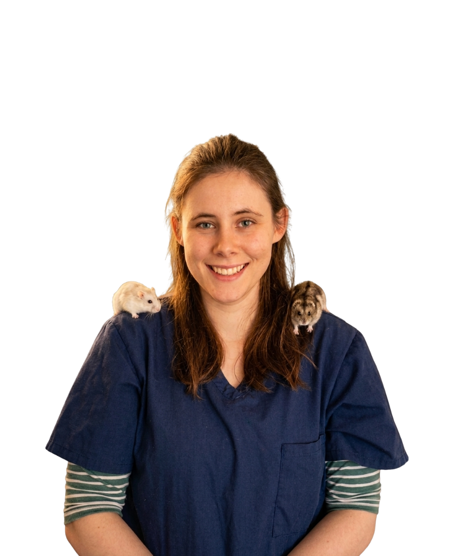 A smiling woman with long brown hair wearing nurses scrubs with two small hamsters sitting on her shoulders.