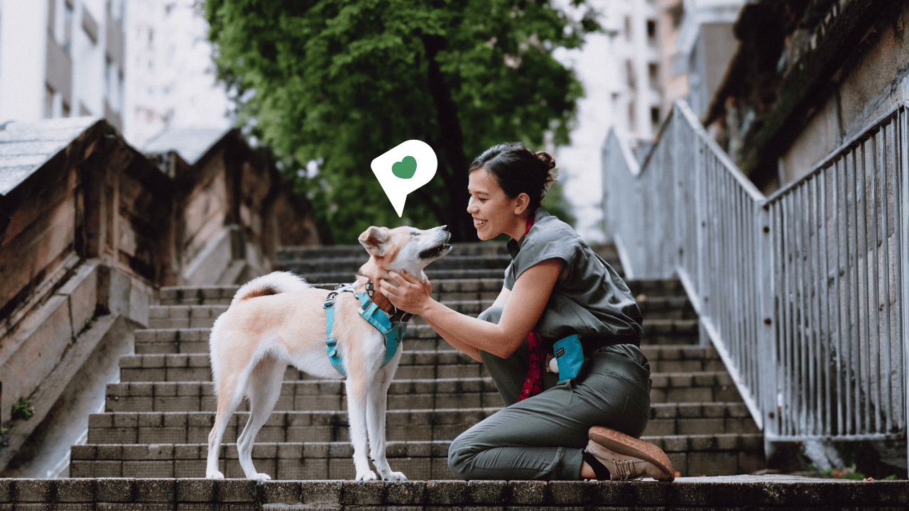 Paws For Understanding Paws for Thought - Veterinary Behaviour Services