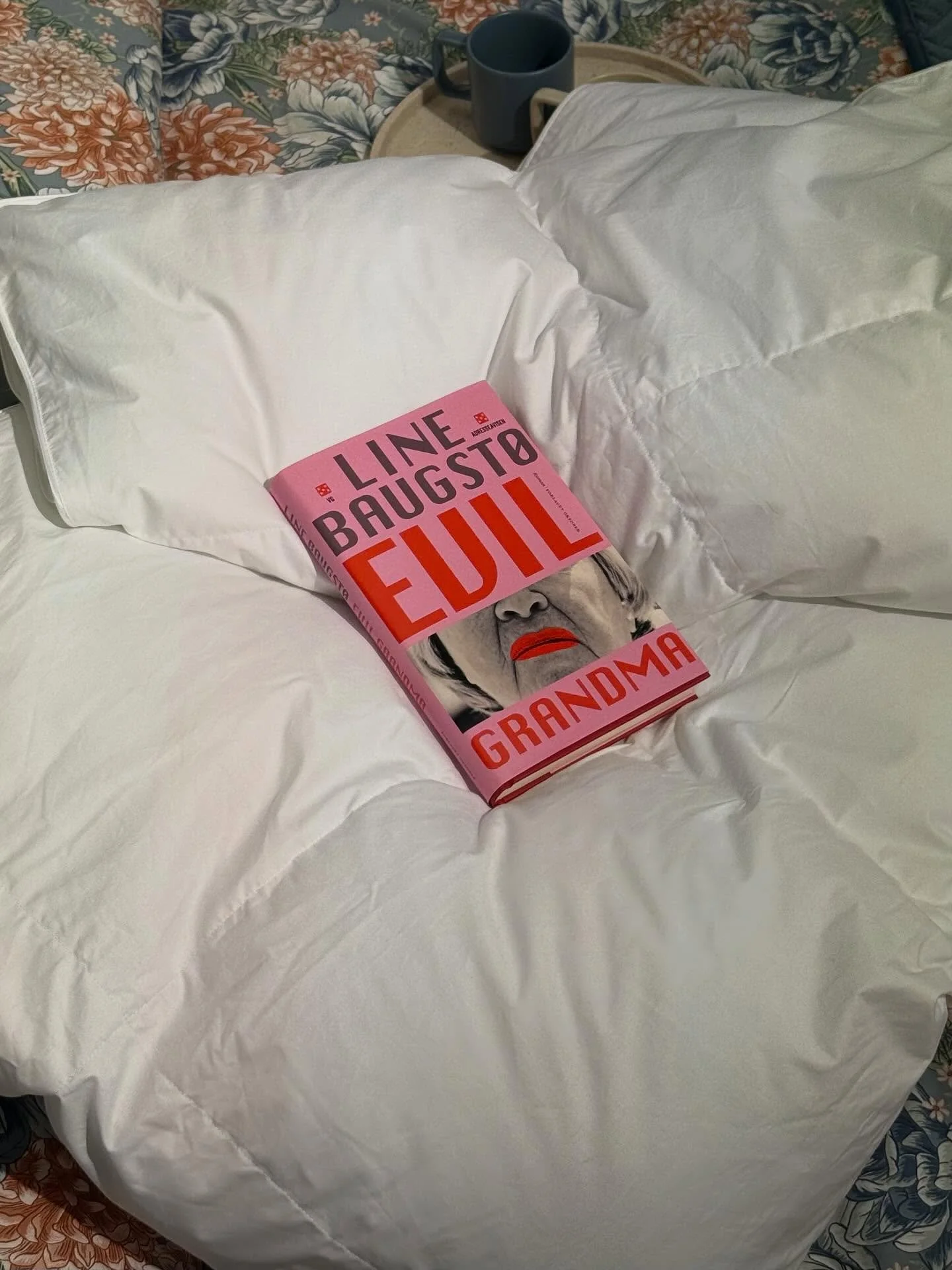 M&aring;nedens bok hos @norliaalesund : Evil Grandma av Line Baugst&oslash; 📚
En svart humoristisk og underholdende roman om familie, hemmeligheter og litt for mye &aelig;rlighet✨
#smphandlelokalt #&aring;lesundstorsenter